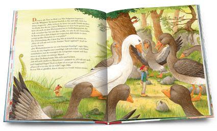 Beispielinhalt (Bild) Nils Holgerssons wunderbare Reise