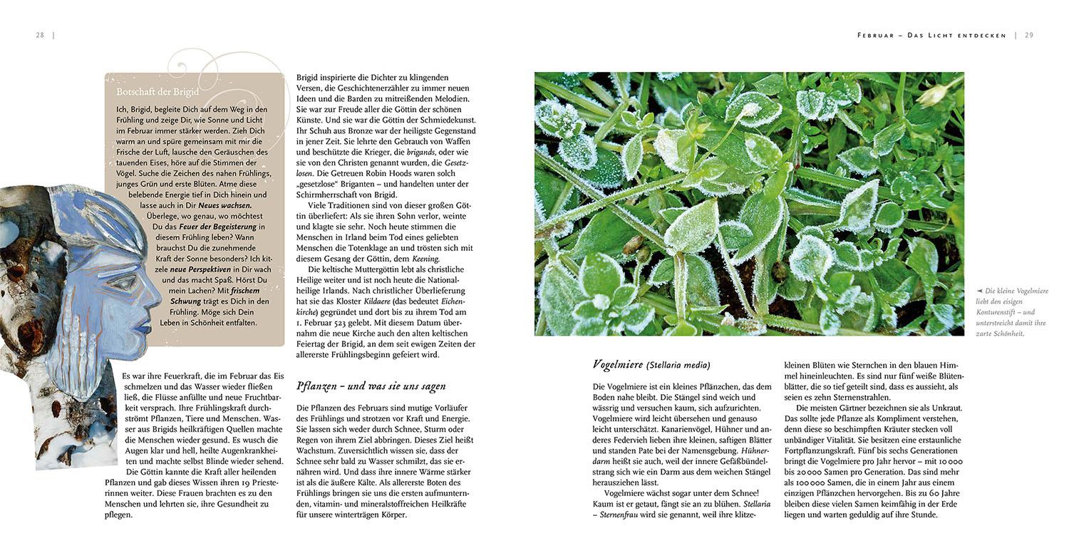 Beispielinhalt (Bild) Pflanzengöttinnen und ihre Heilkräuter