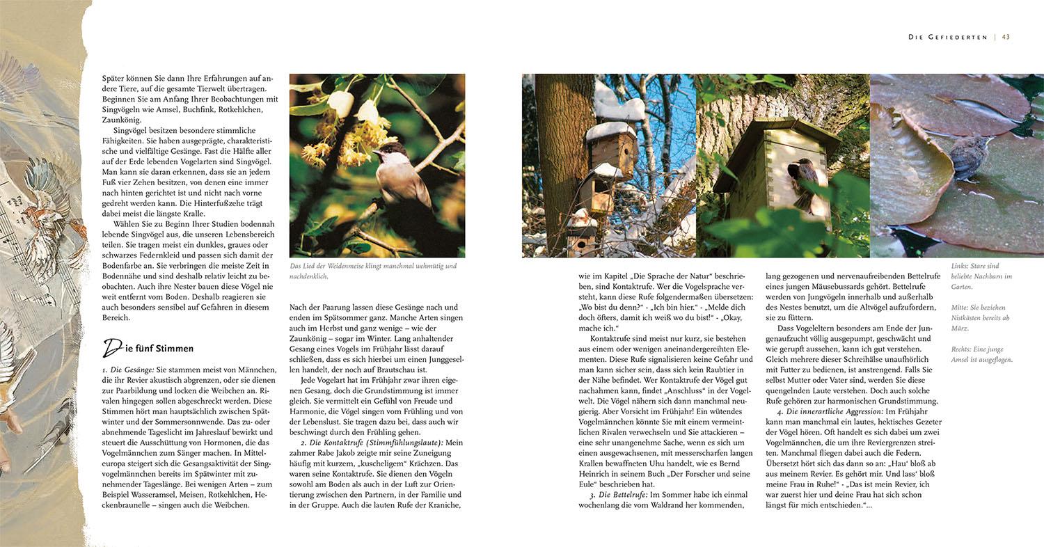 Beispielinhalt (Bild) Mit der Wildnis verbunden