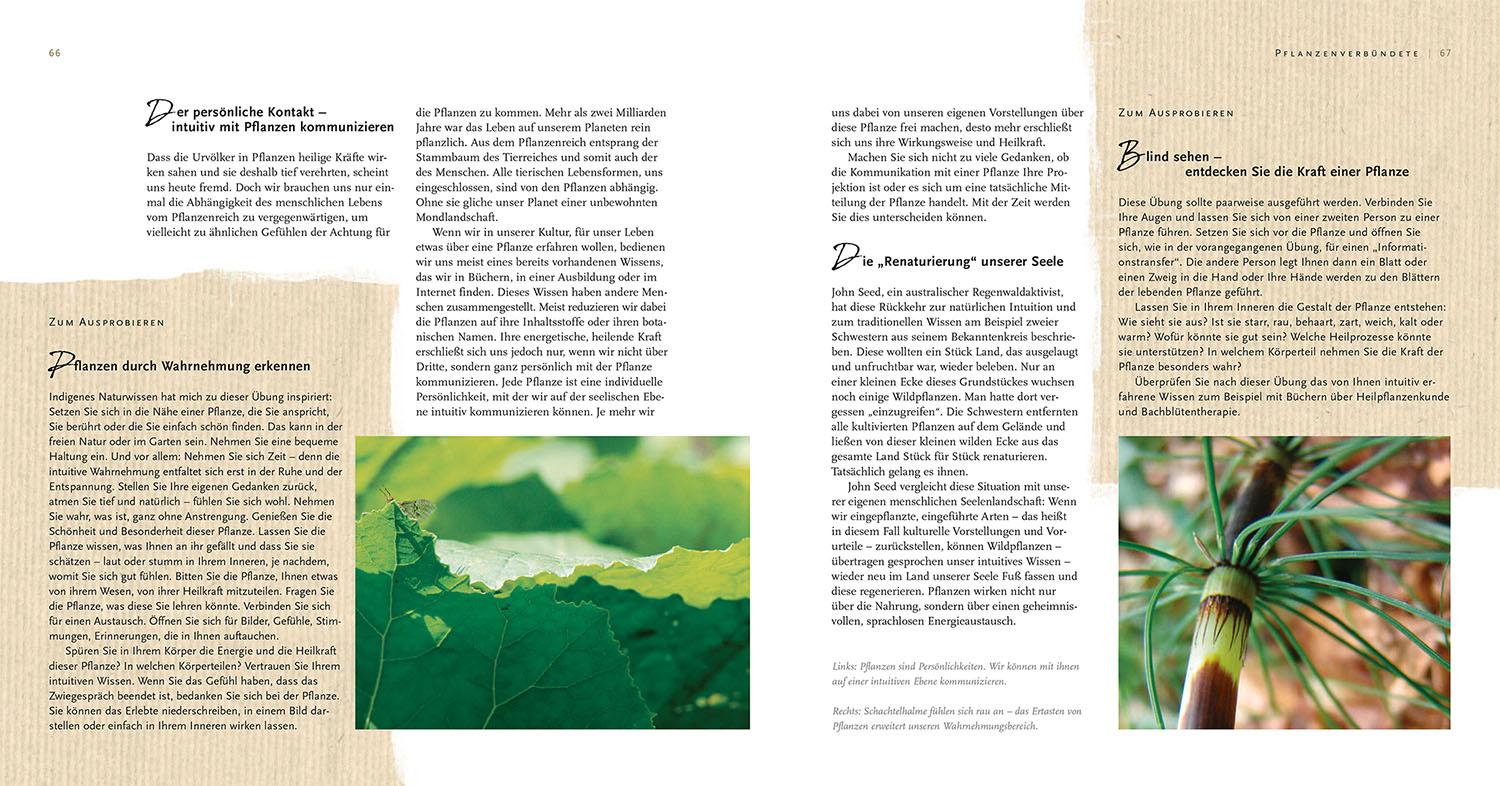 Beispielinhalt (Bild) Mit der Wildnis verbunden