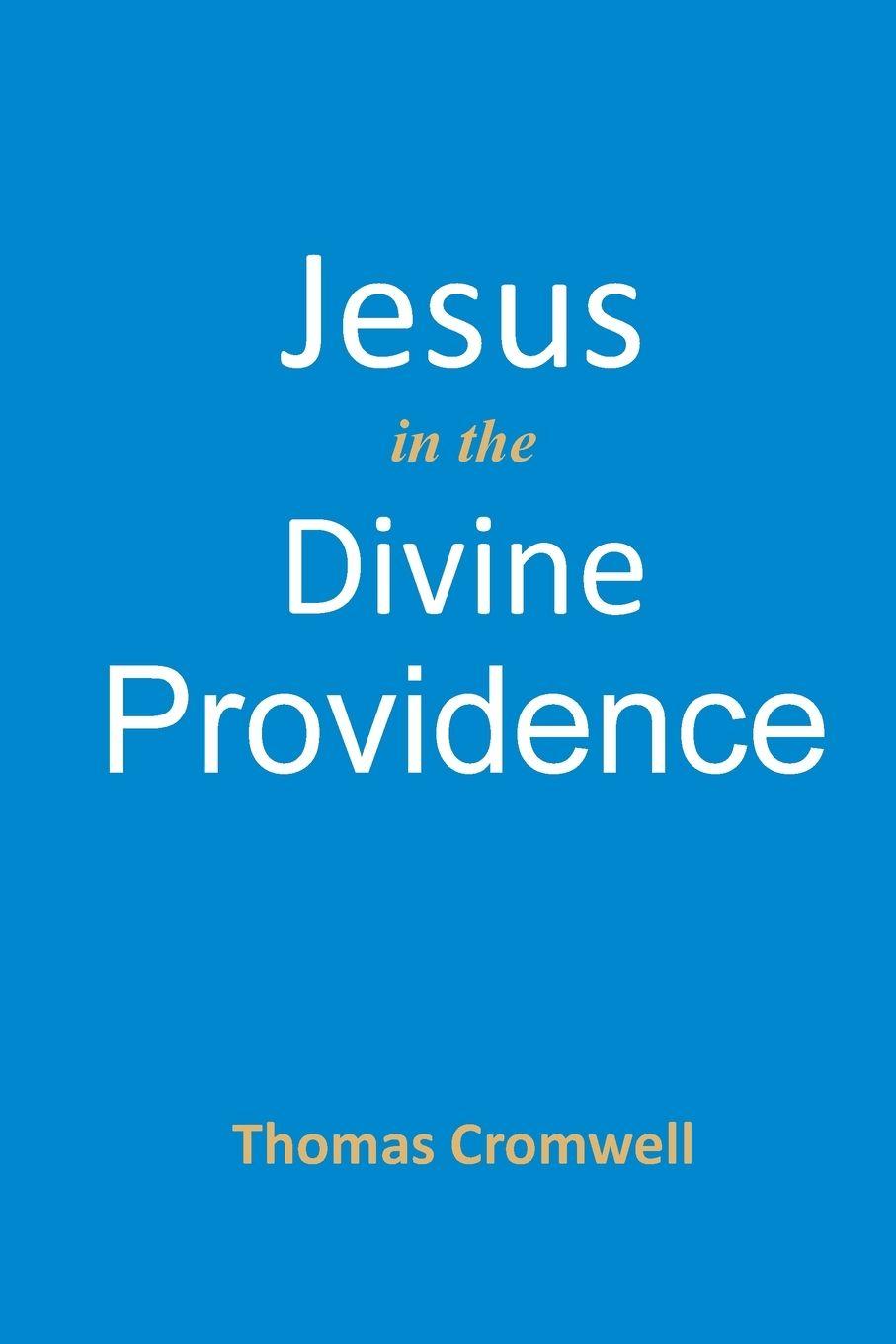 Vorderes Coverbild Jesus in the Divine Providence