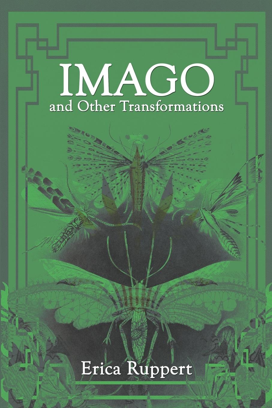 Vorderes Coverbild Imago and Other Transformations