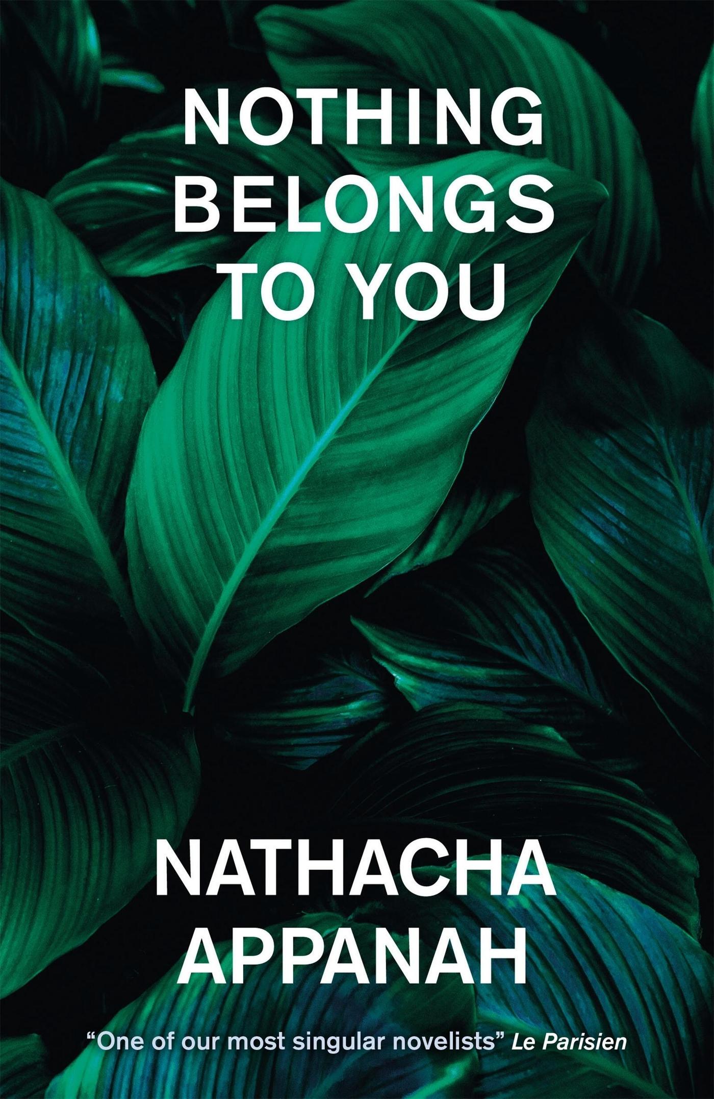 Vorderes Coverbild Nothing Belongs to You