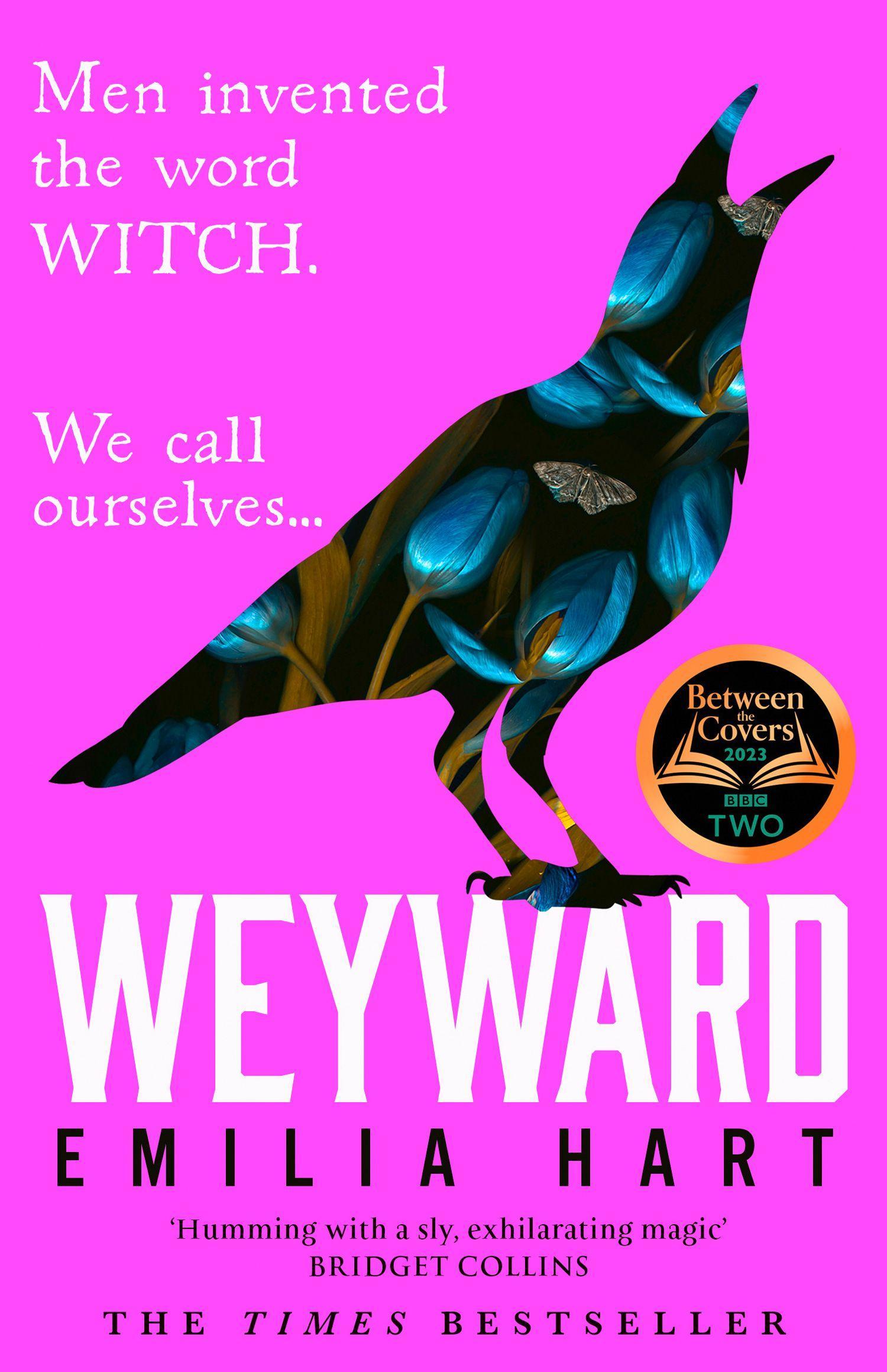 Vorderes Coverbild Weyward