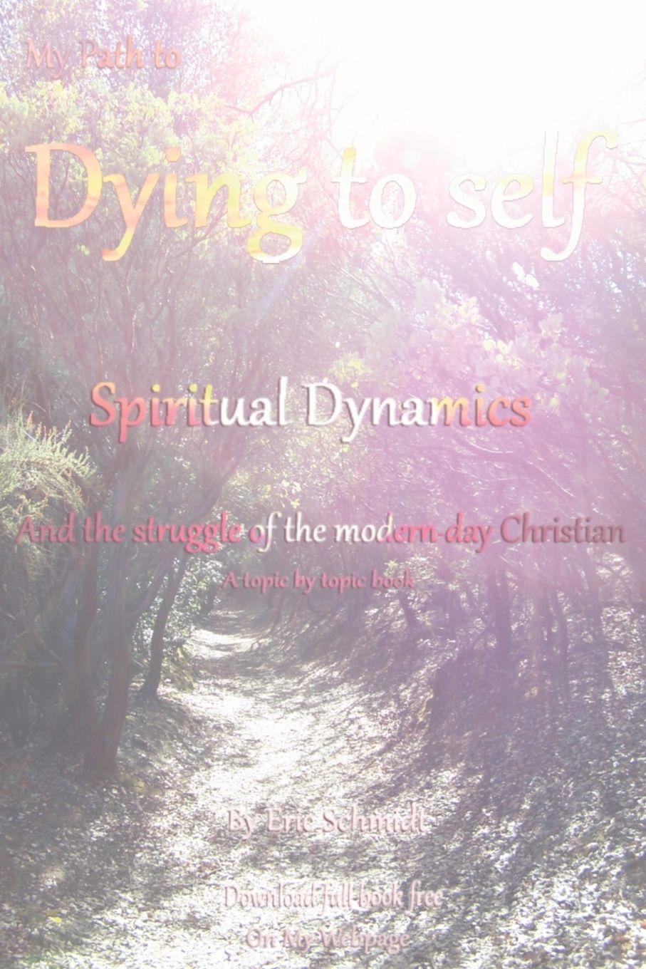 Vorderes Coverbild My Path to Dying to Self, Spiritual Dynamics, and the Struggle of the Modern-day Christian