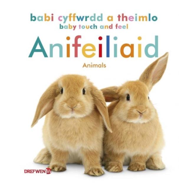 Vorderes Coverbild Babi Cyffwrdd a Theimlo: Anifeiliaid / Baby Touch and Feel: Animals
