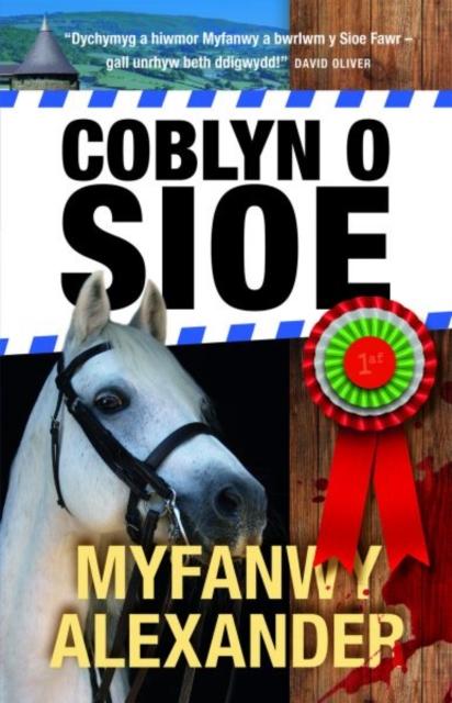 Vorderes Coverbild Coblyn o Sioe