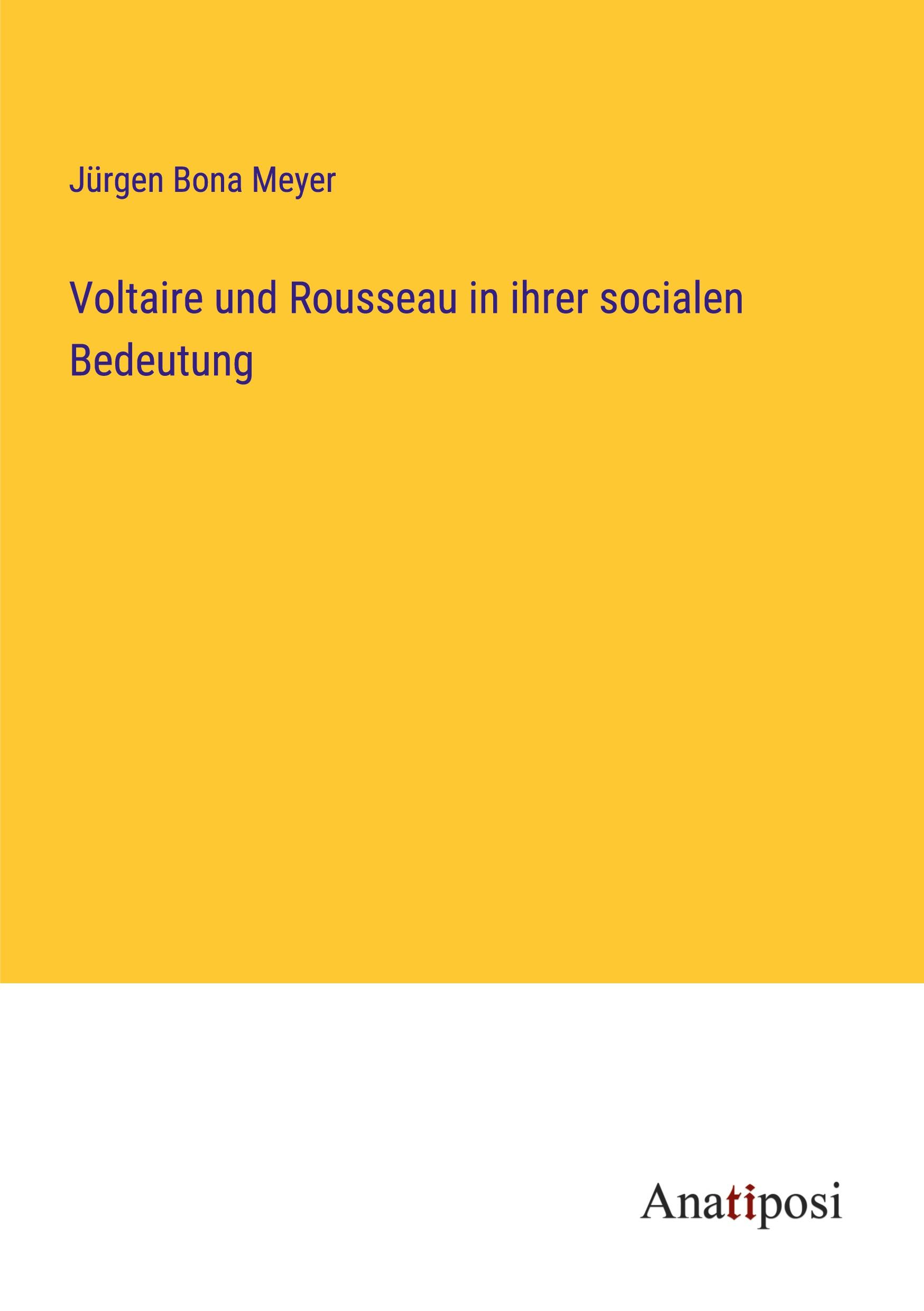Vorderes Coverbild Voltaire und Rousseau in ihrer socialen Bedeutung