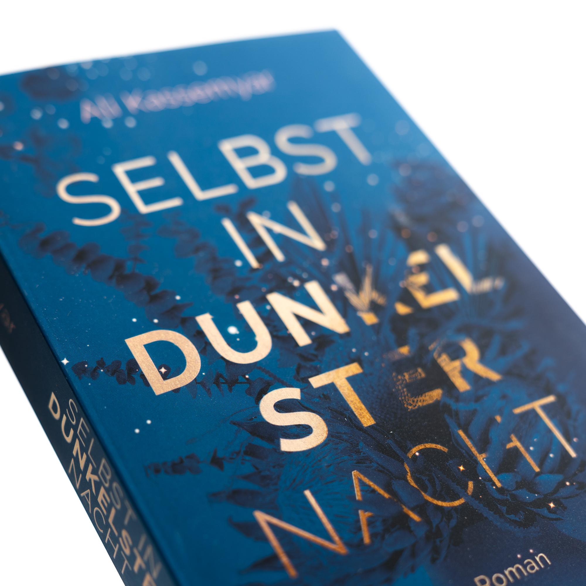 Beispielinhalt (Bild) Selbst in dunkelster Nacht