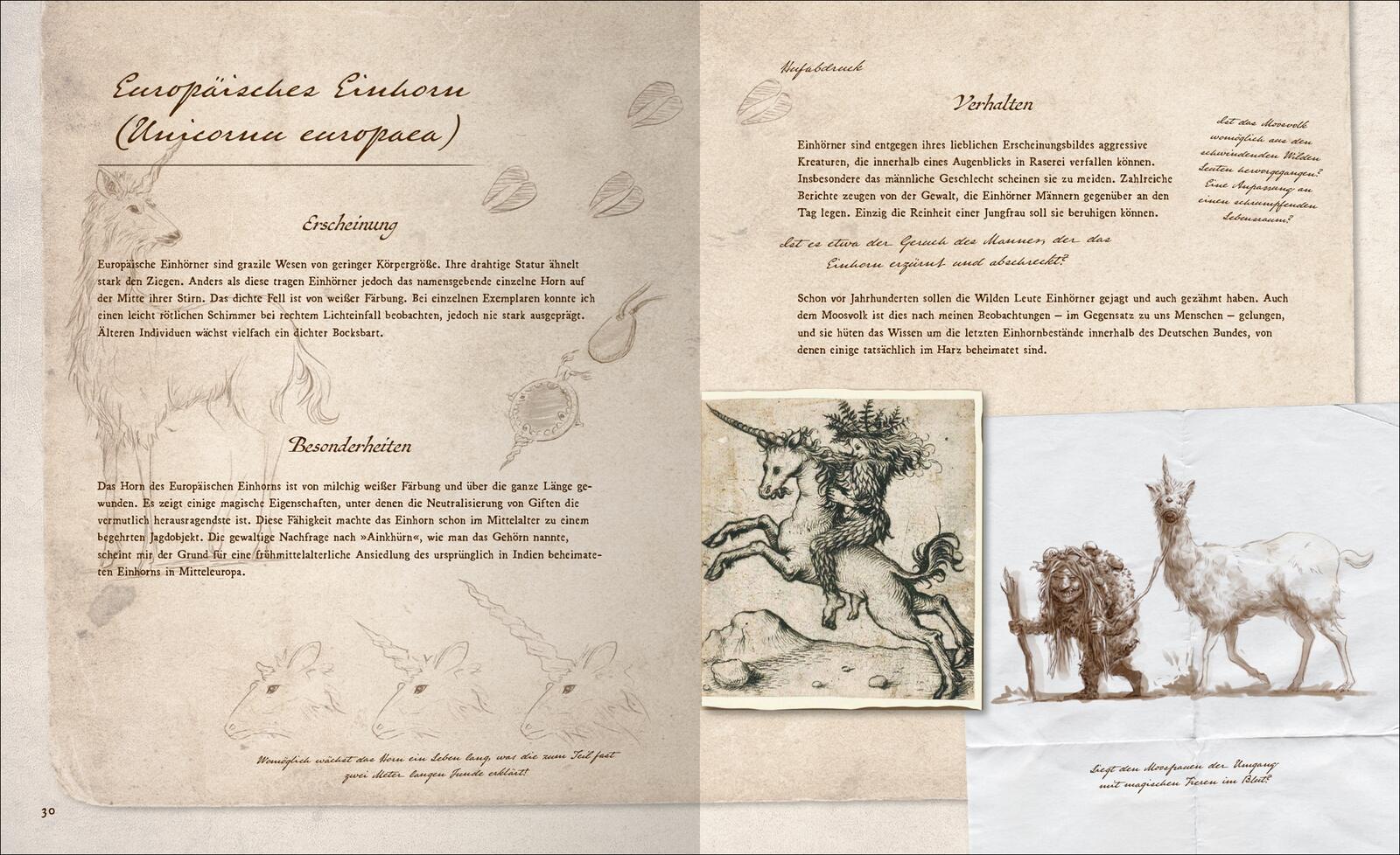 Beispielinhalt (Bild) Fast verschwundene Fabelwesen. Die sagenhafte Expedition des Konstantin O. Boldt