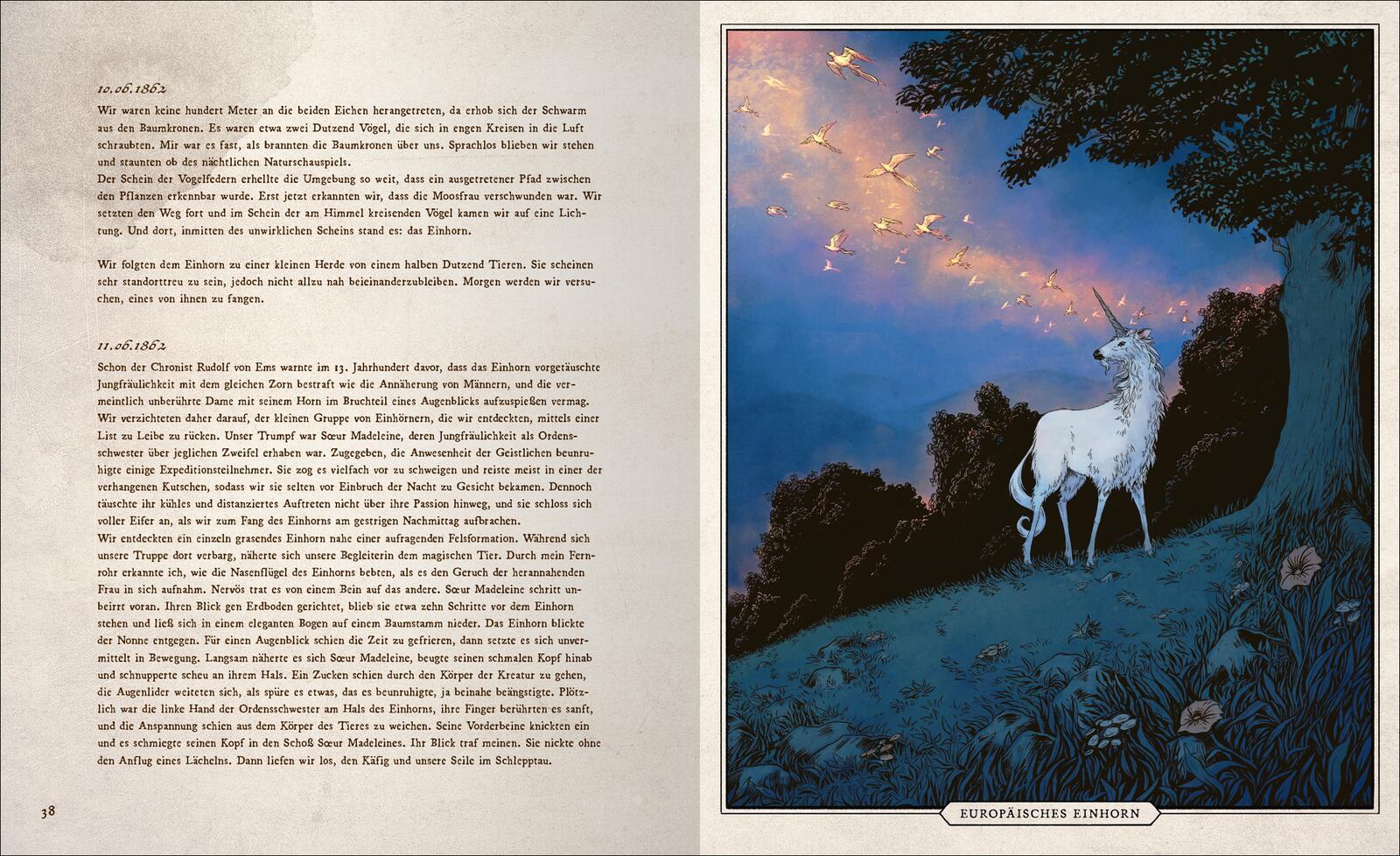 Beispielinhalt (Bild) Fast verschwundene Fabelwesen. Die sagenhafte Expedition des Konstantin O. Boldt