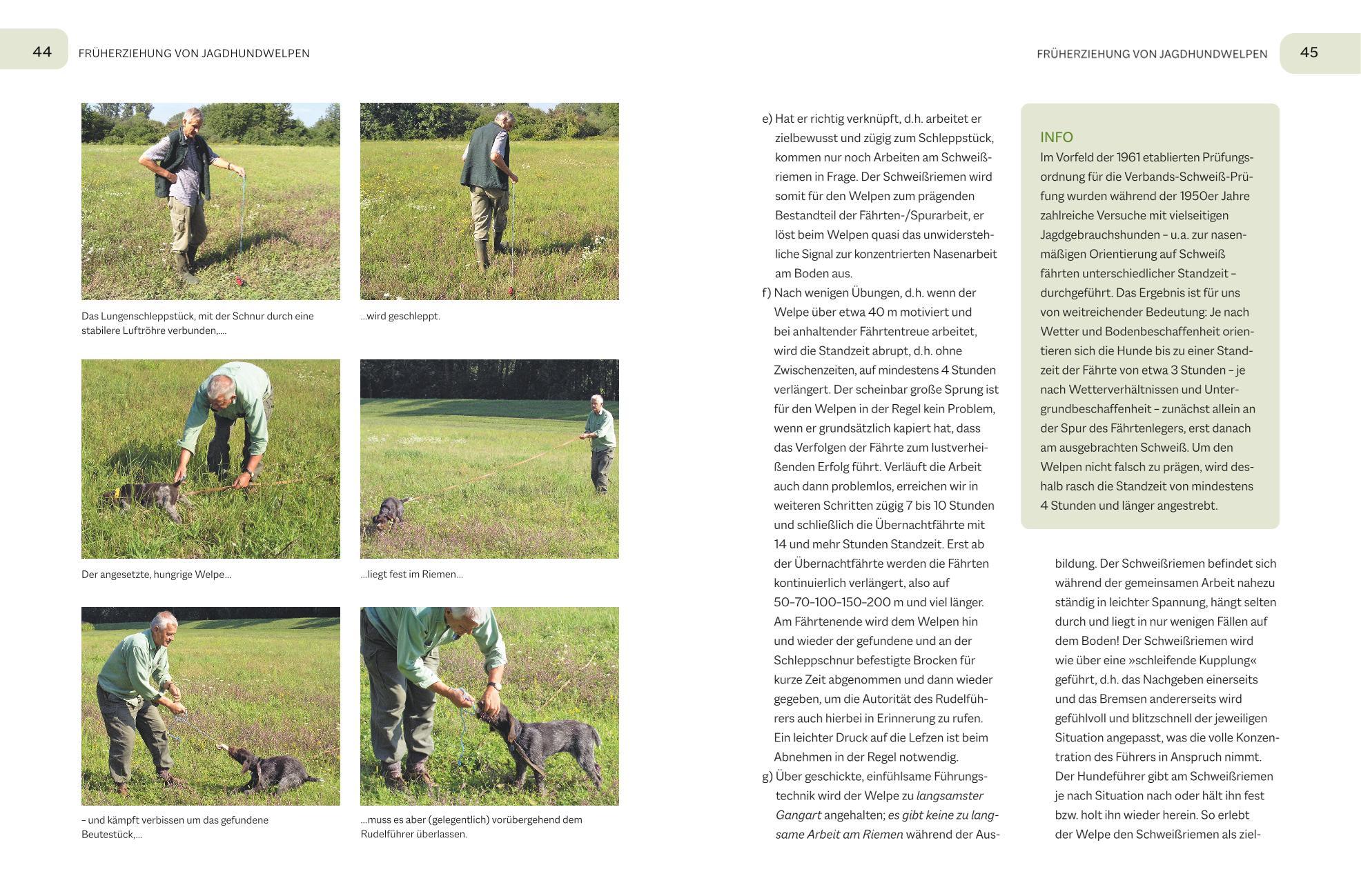 Beispielinhalt (Bild) Der Jagdgebrauchshund