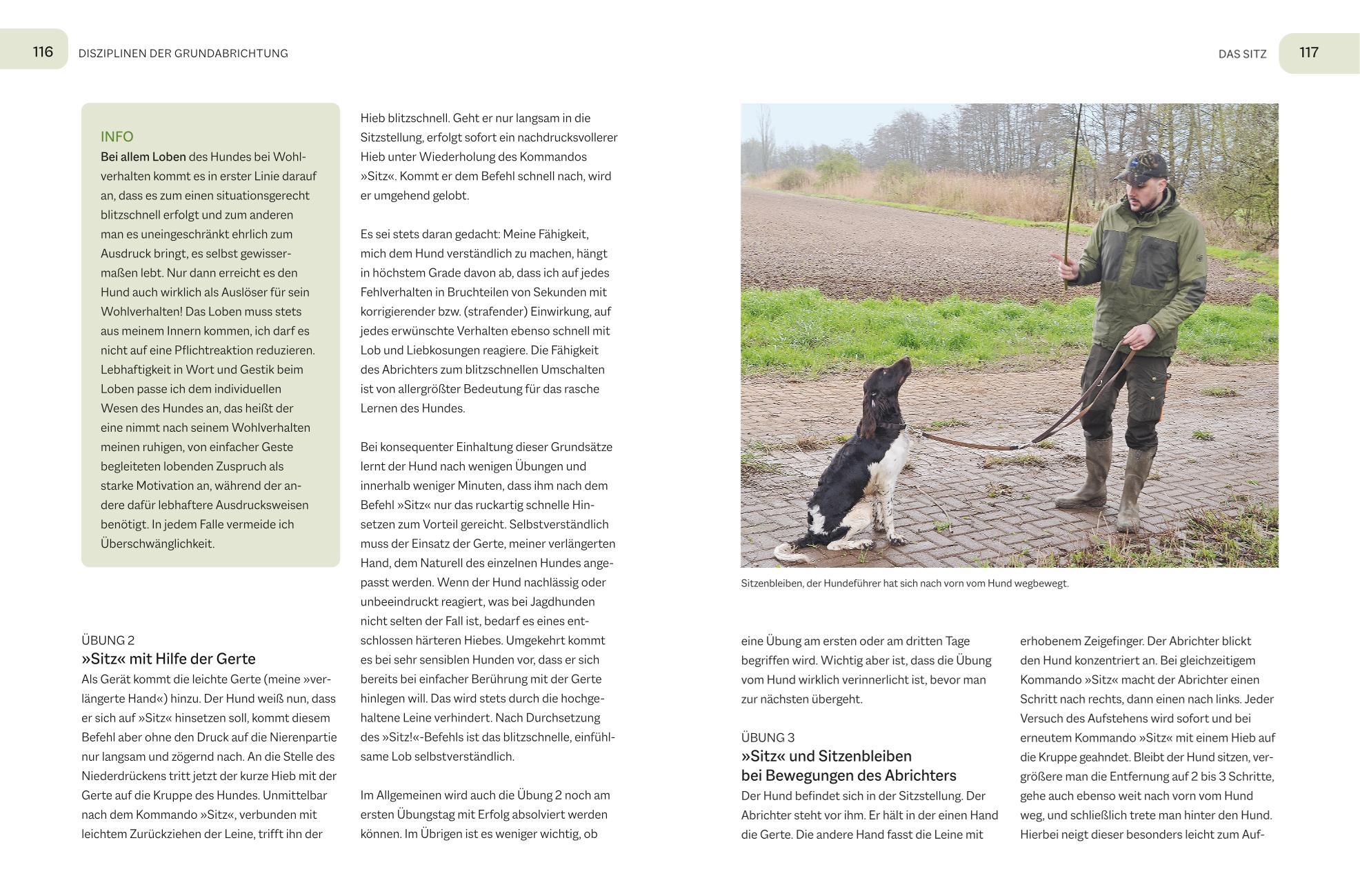 Beispielinhalt (Bild) Der Jagdgebrauchshund