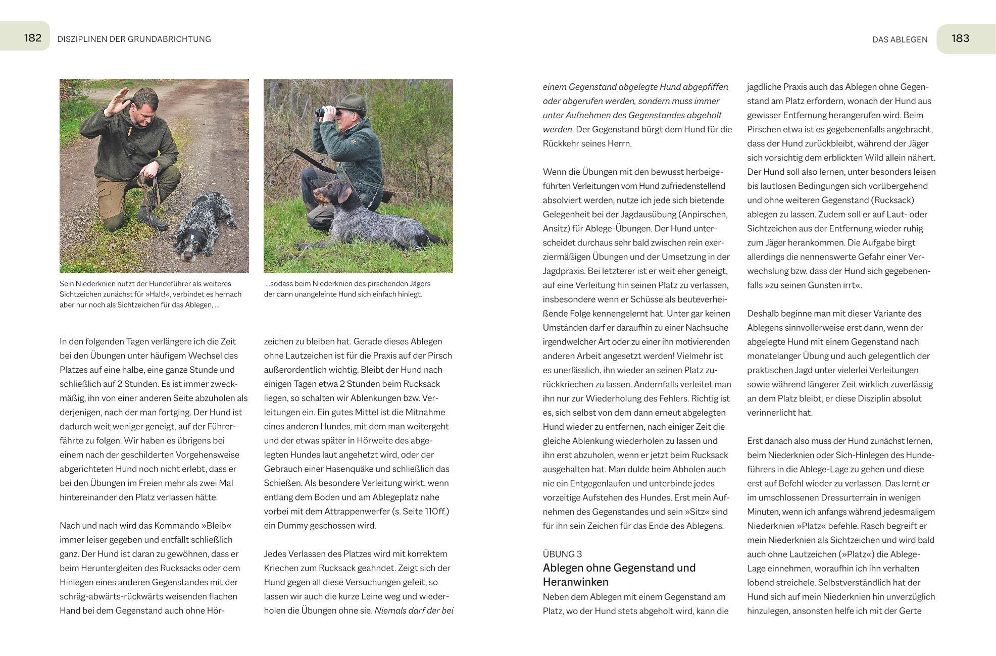 Beispielinhalt (Bild) Der Jagdgebrauchshund