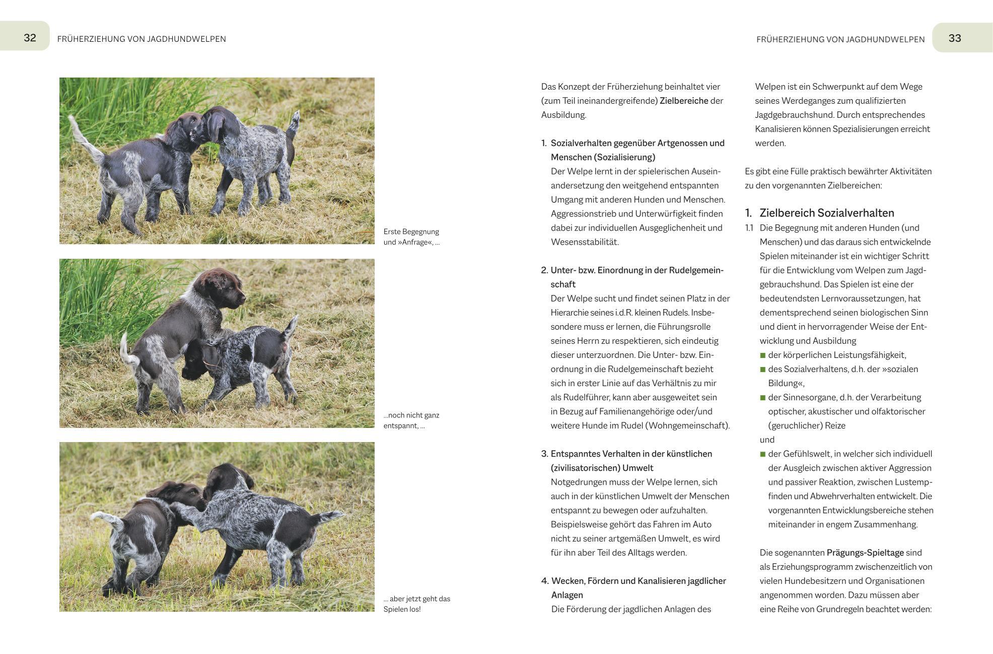Beispielinhalt (Bild) Der Jagdgebrauchshund