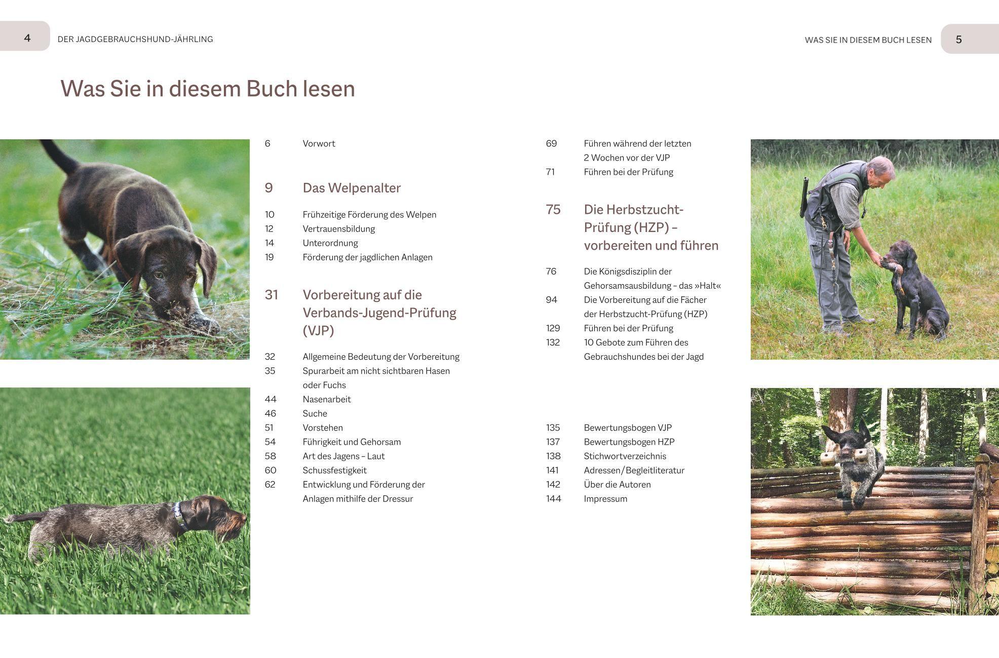 Beispielinhalt (Bild) Der Jagdgebrauchshund-Jährling