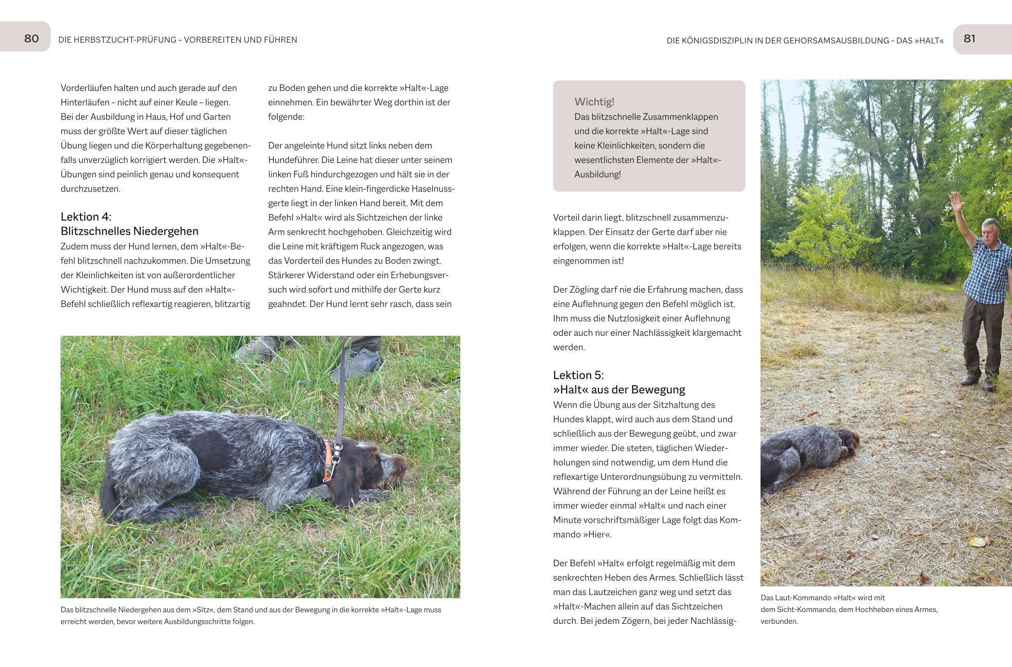 Beispielinhalt (Bild) Der Jagdgebrauchshund-Jährling