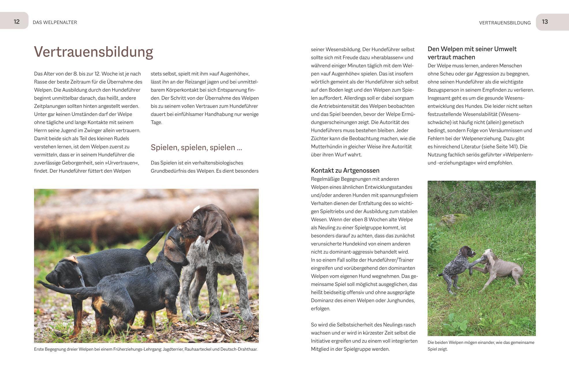 Beispielinhalt (Bild) Der Jagdgebrauchshund-Jährling