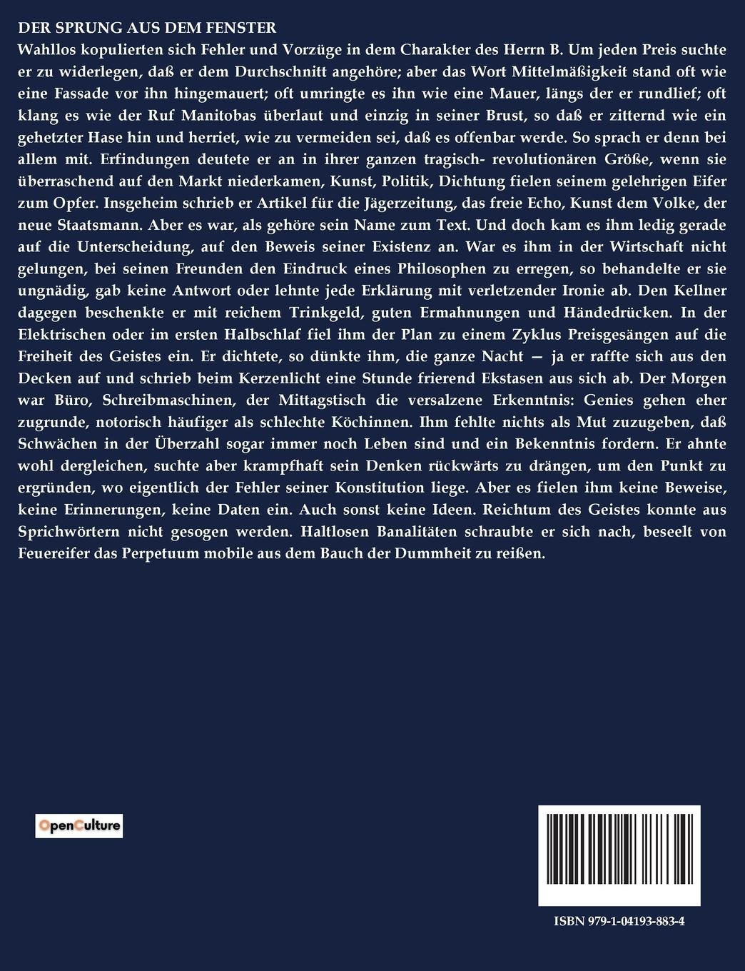Rückseitencover Der Sprung aus dem Fenster