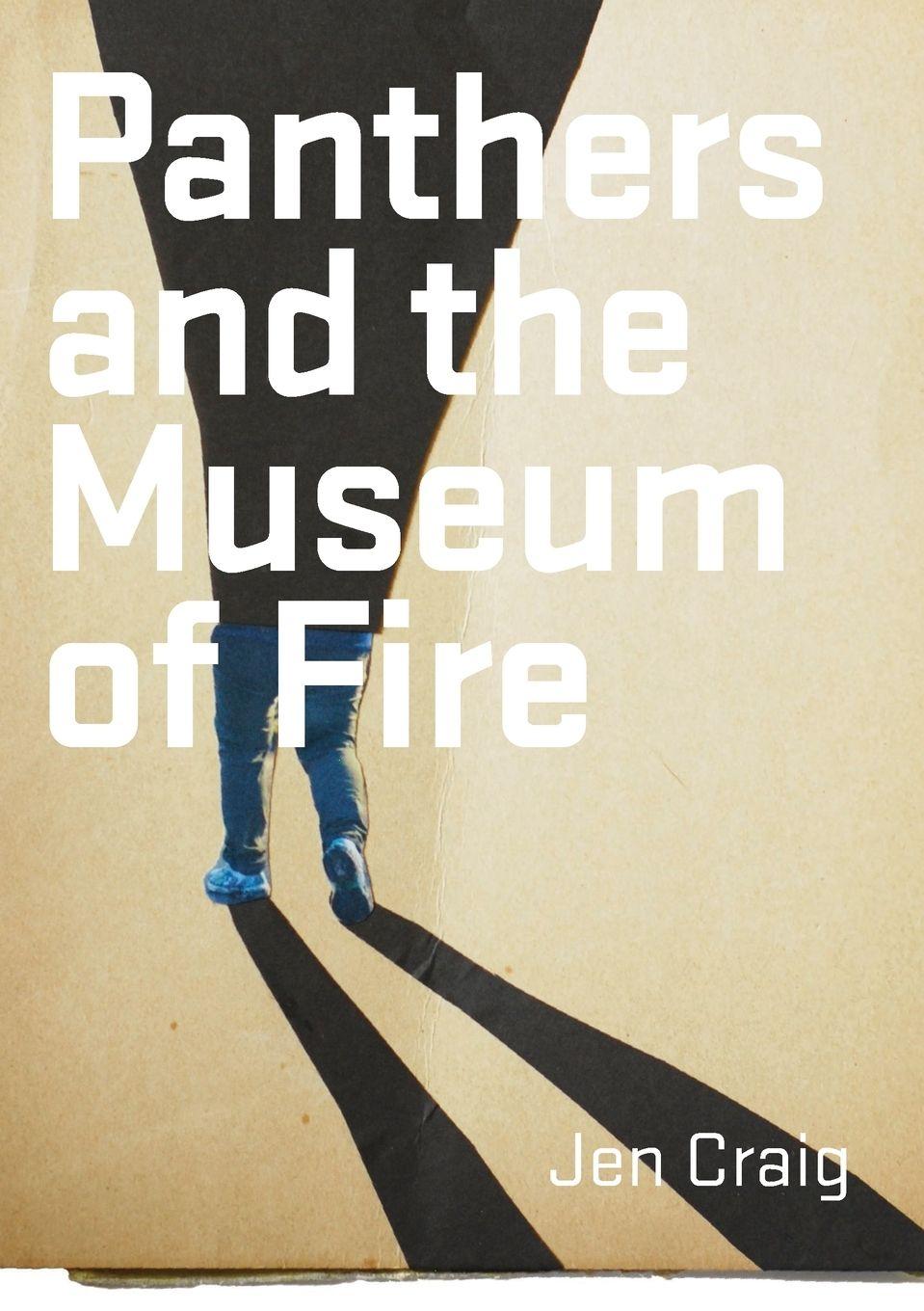 Vorderes Coverbild Panthers and the Museum of Fire