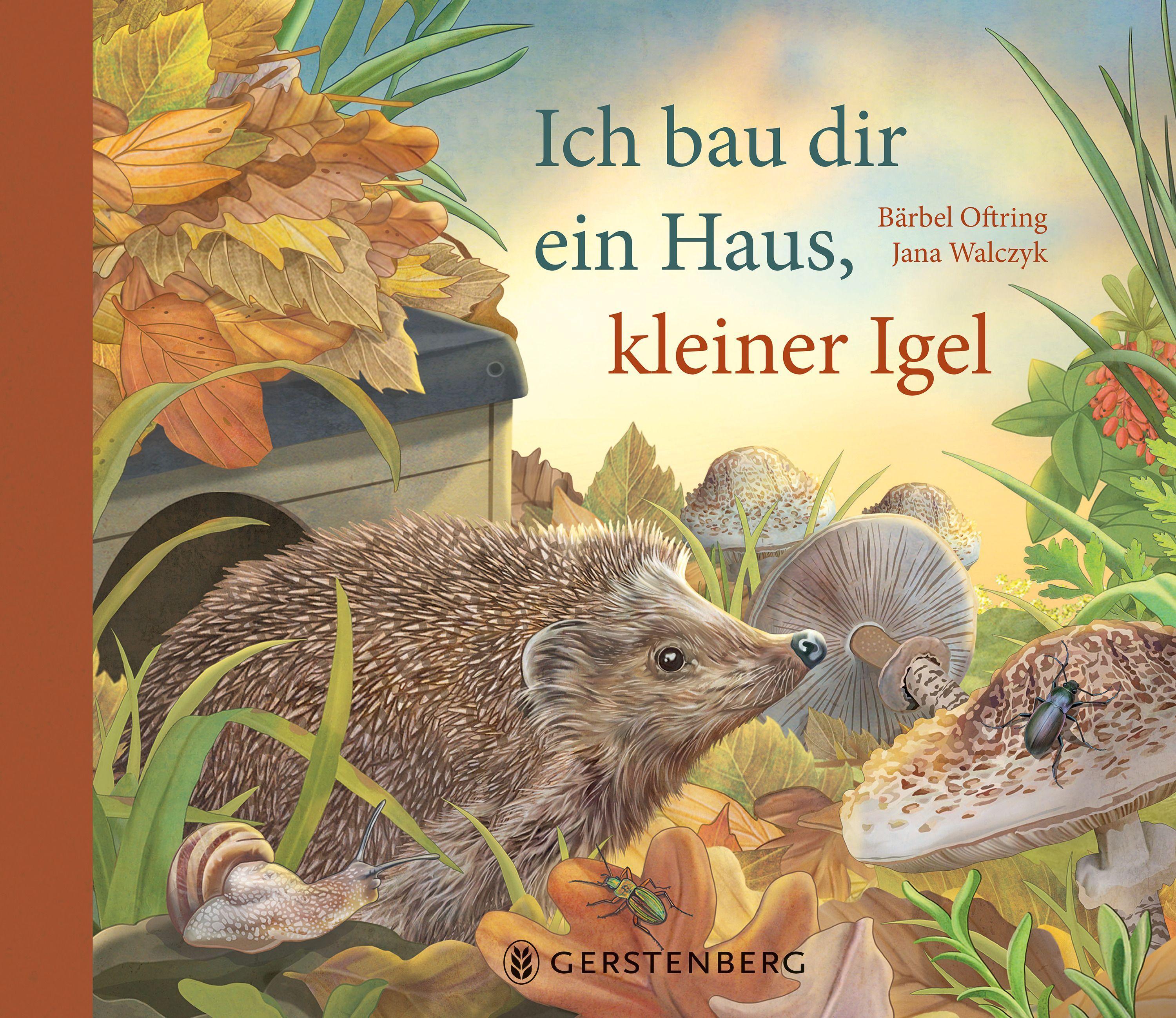 Vorderes Coverbild Ich bau dir ein Haus, kleiner Igel
