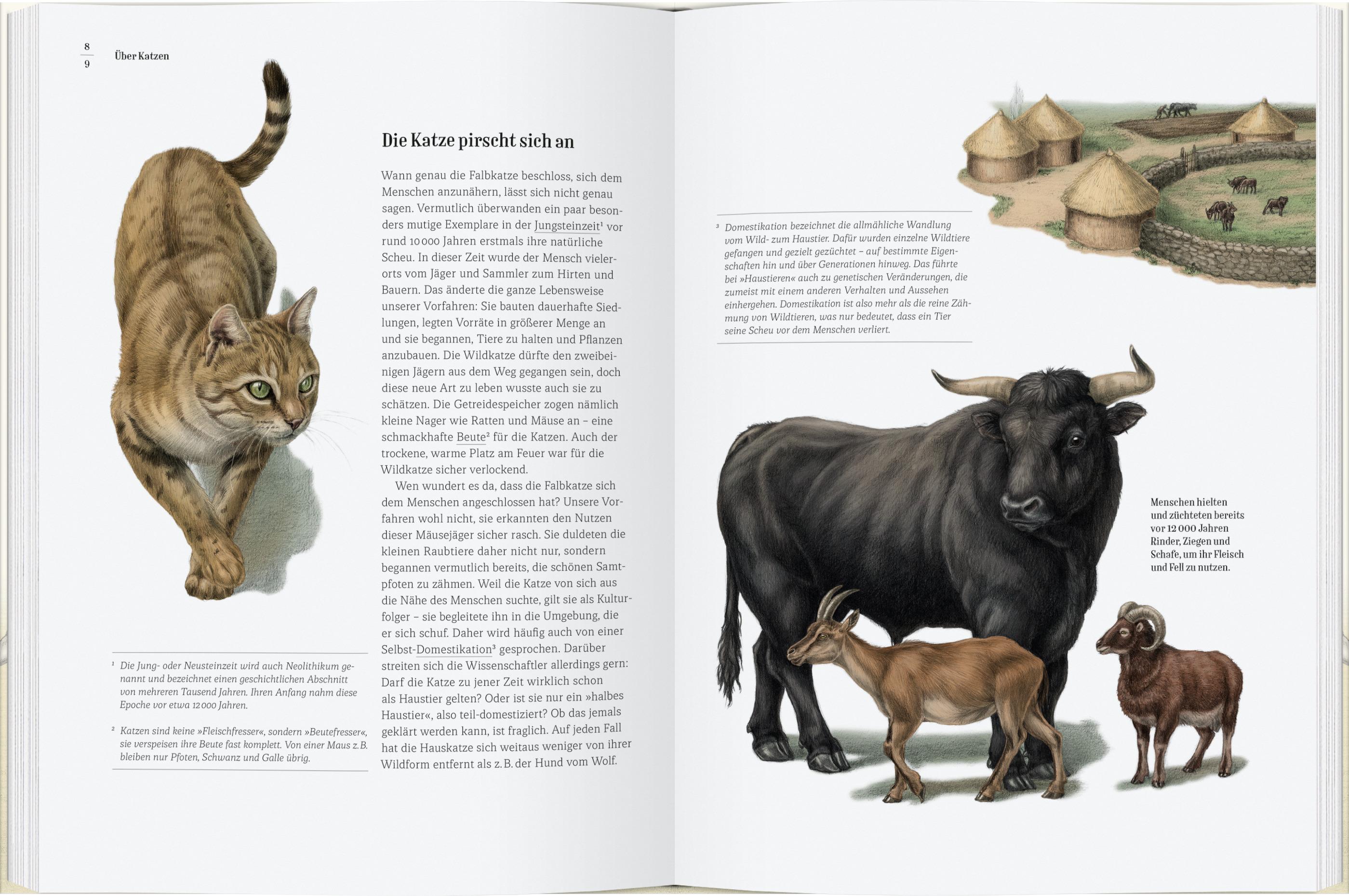 Beispielinhalt (Bild) Wie die Katze zu uns kam