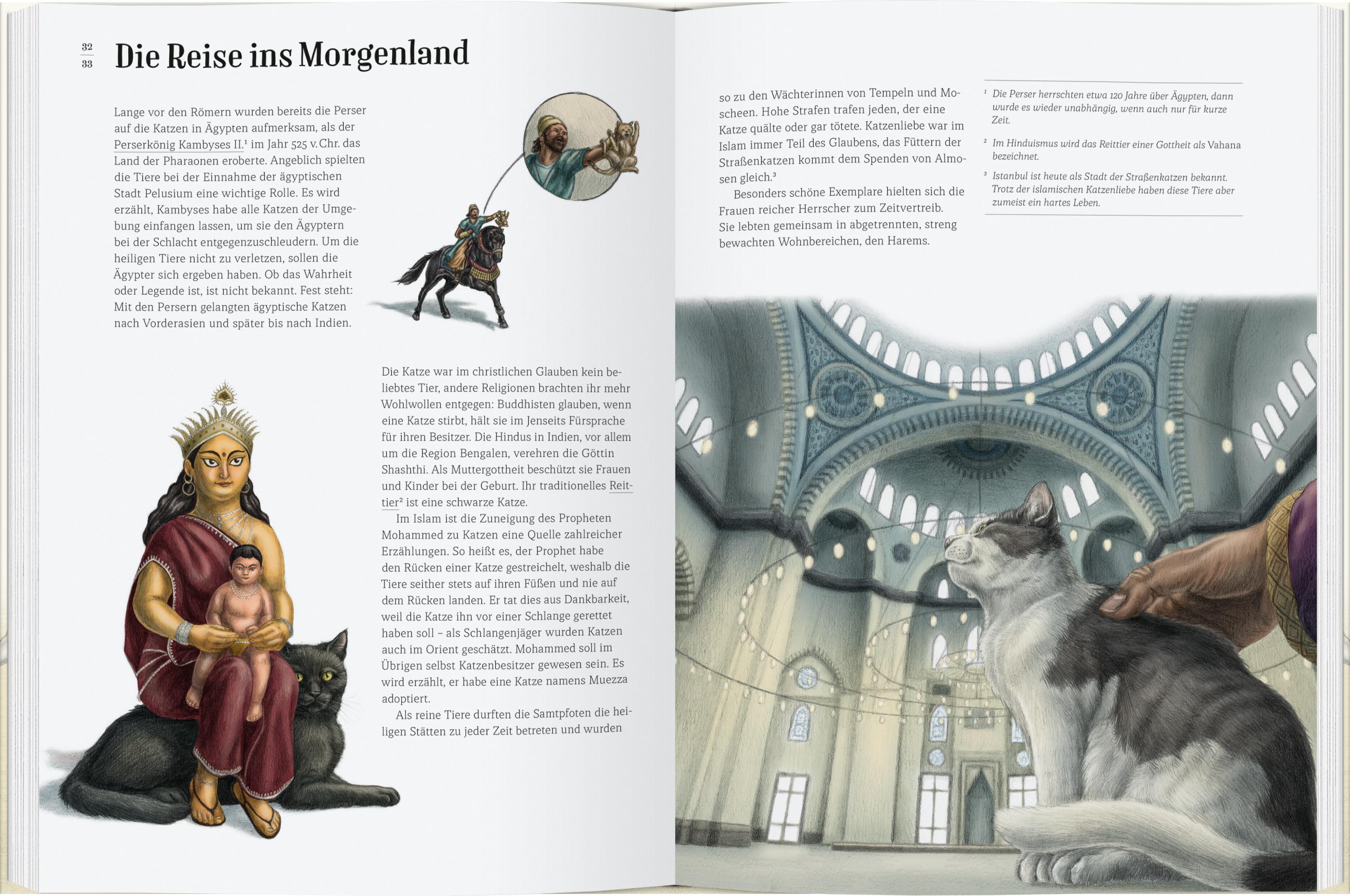 Beispielinhalt (Bild) Wie die Katze zu uns kam