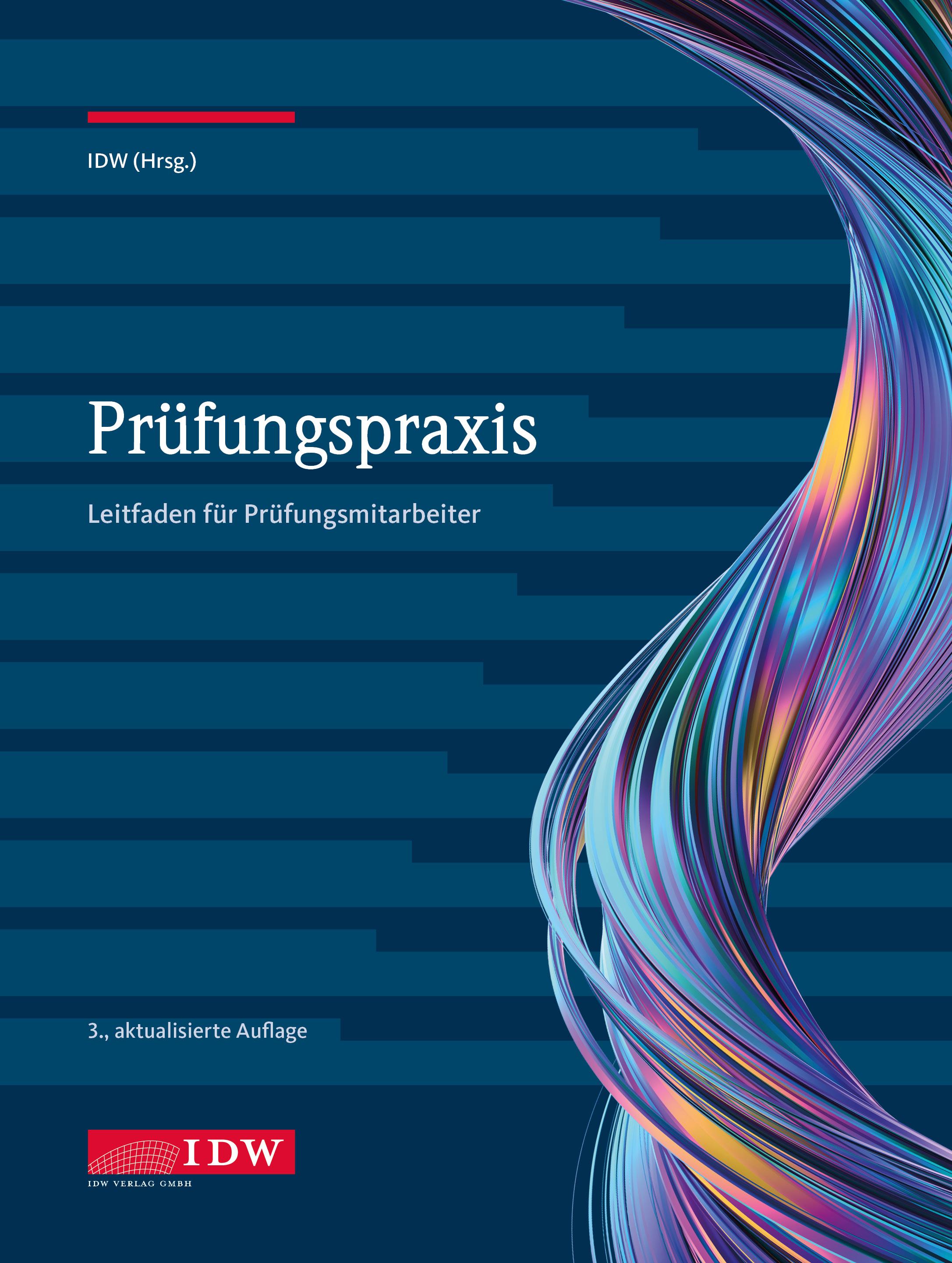 Vorderes Coverbild Prüfungspraxis