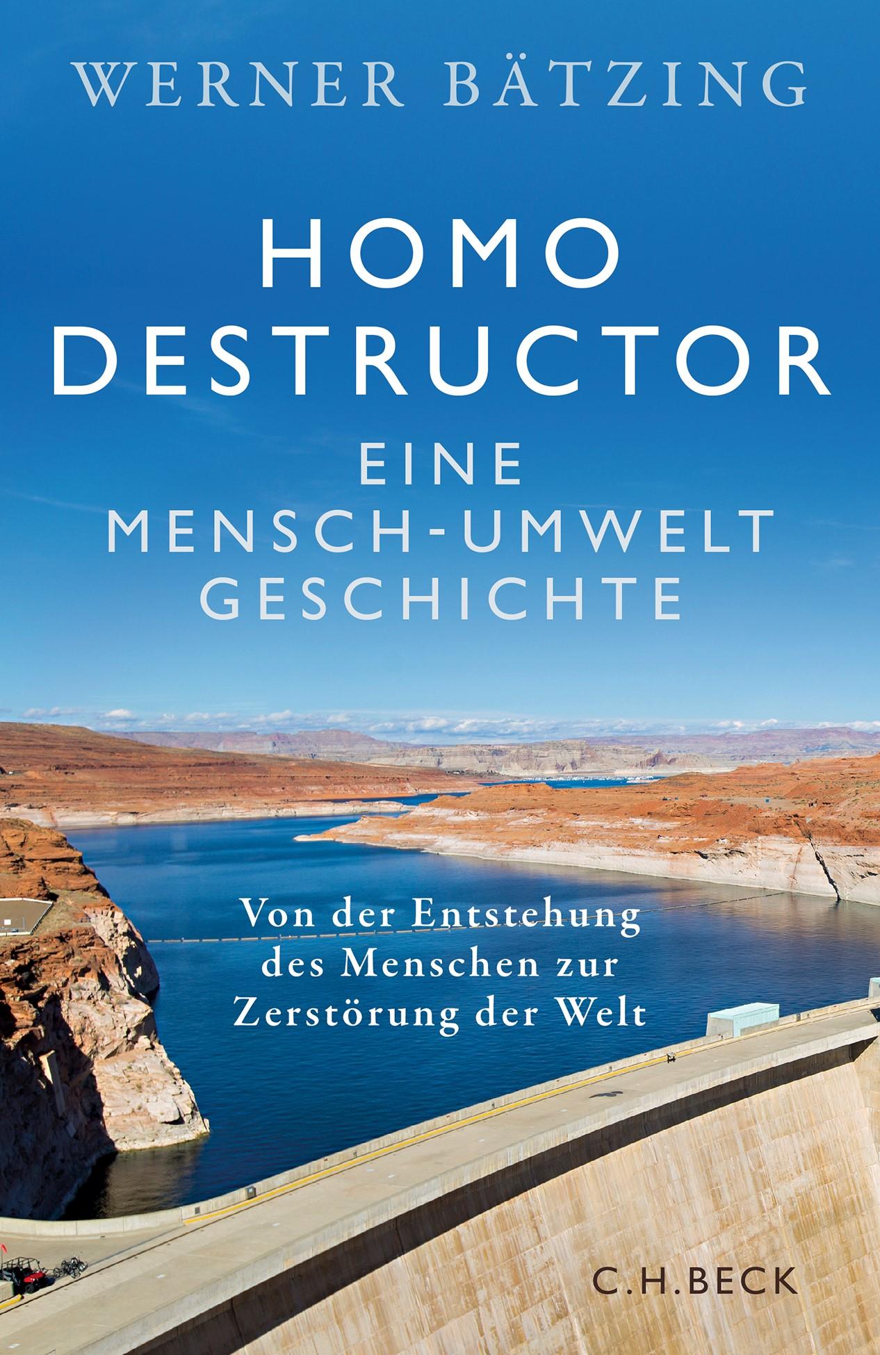 Vorderes Coverbild Homo destructor