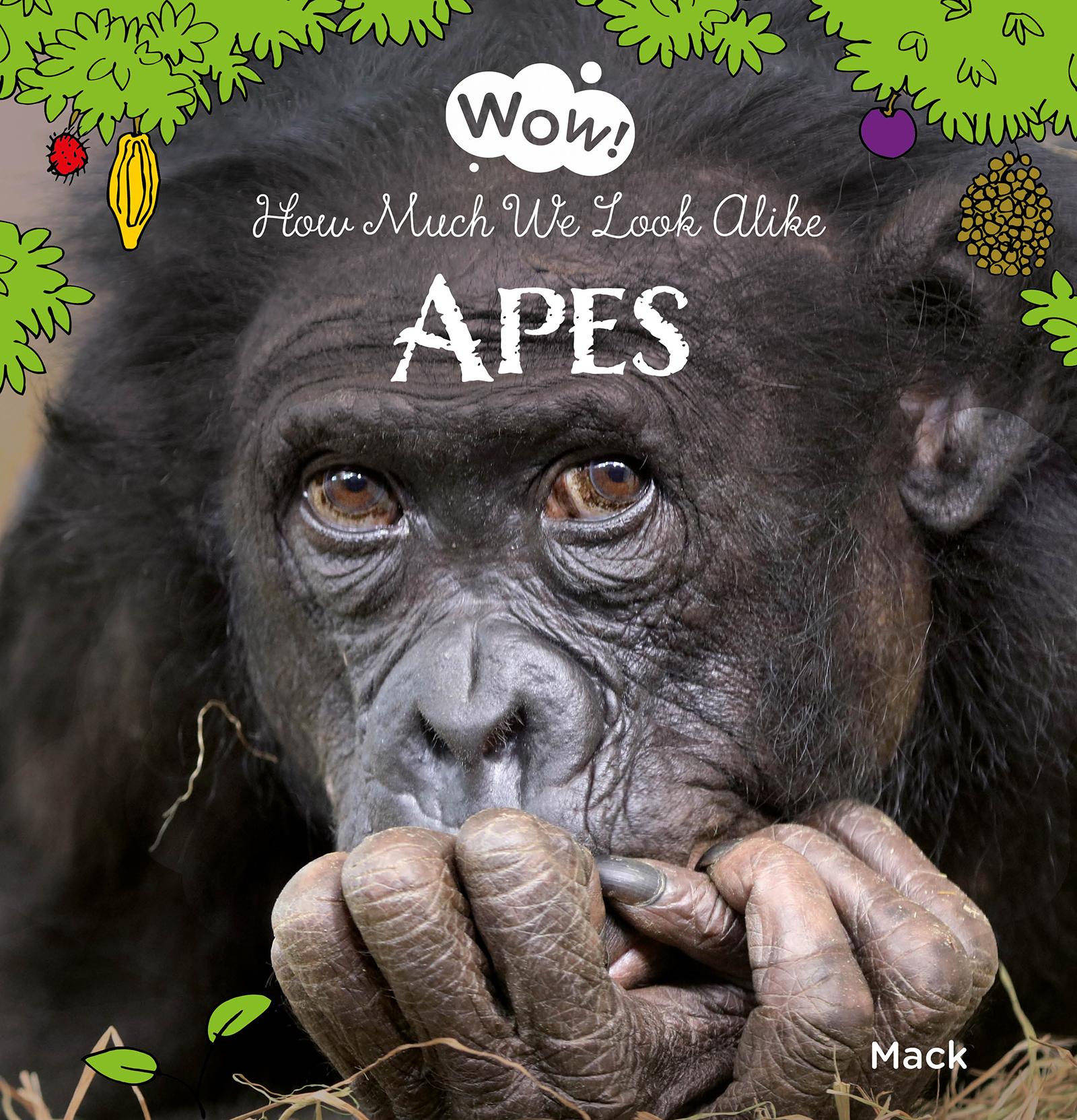 Vorderes Coverbild Wow! Apes. How Much We Look Alike