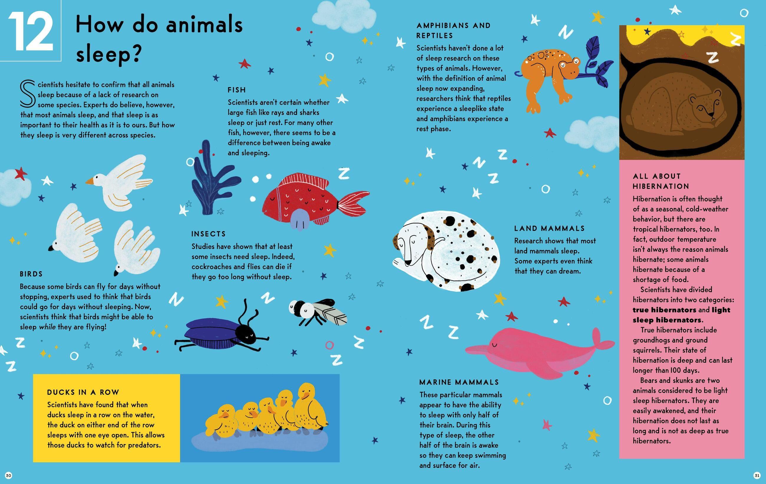 Beispielinhalt (Bild) Sleep