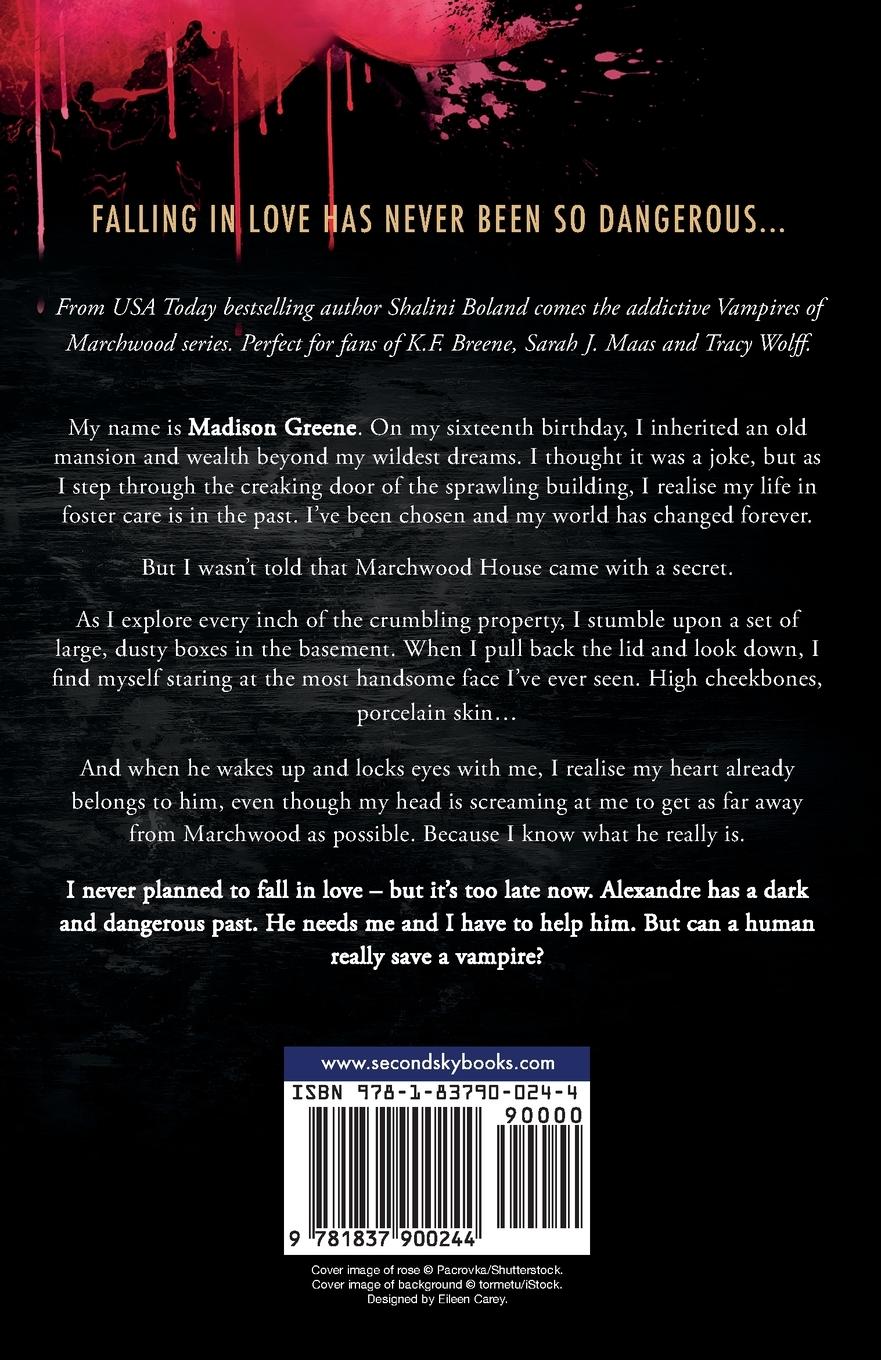 Rückseitencover Hidden