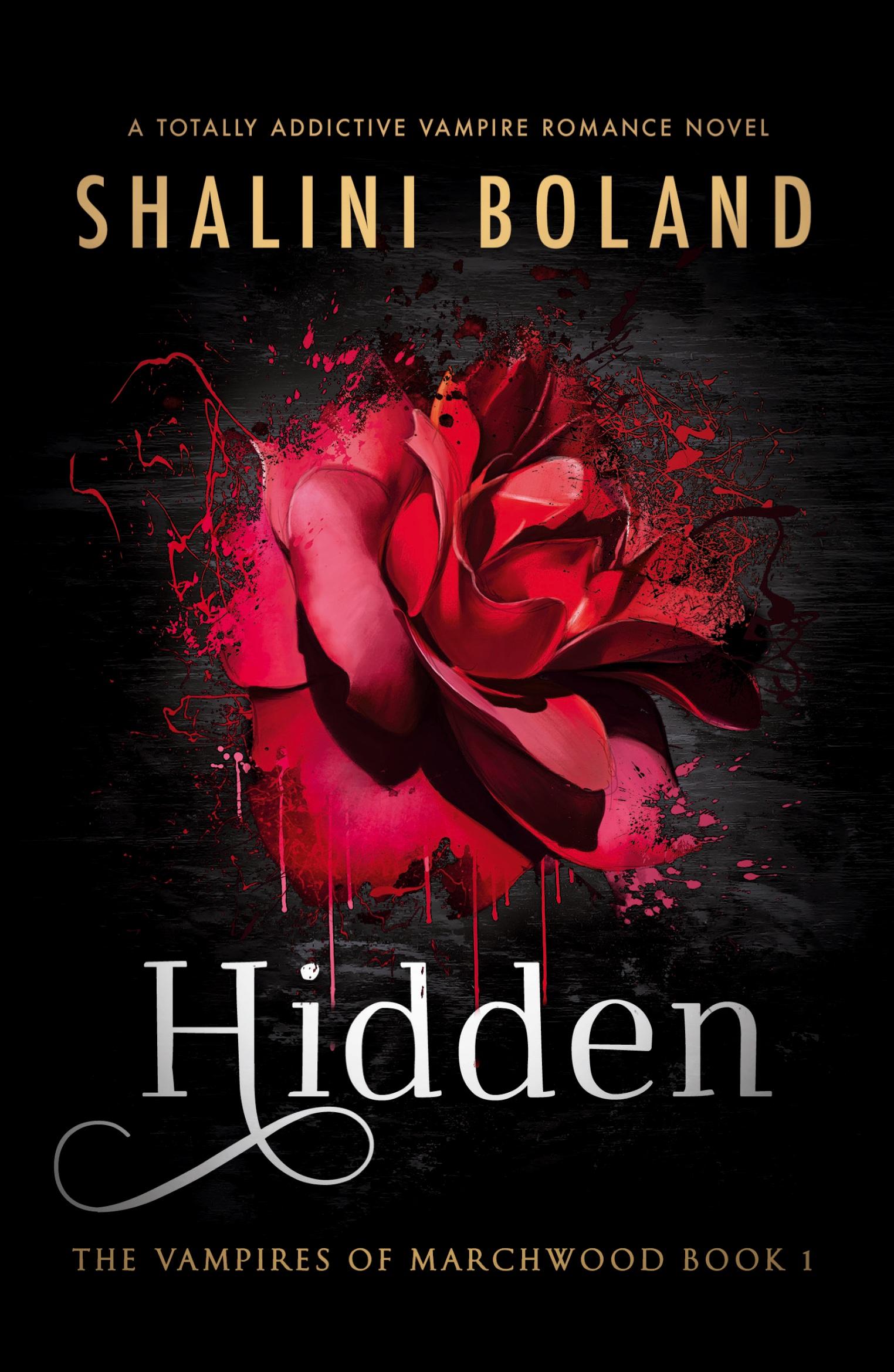 Vorderes Coverbild Hidden