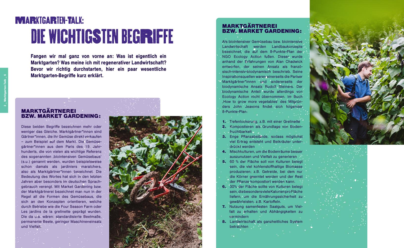 Beispielinhalt (Bild) Kleine Fläche, große Ernte