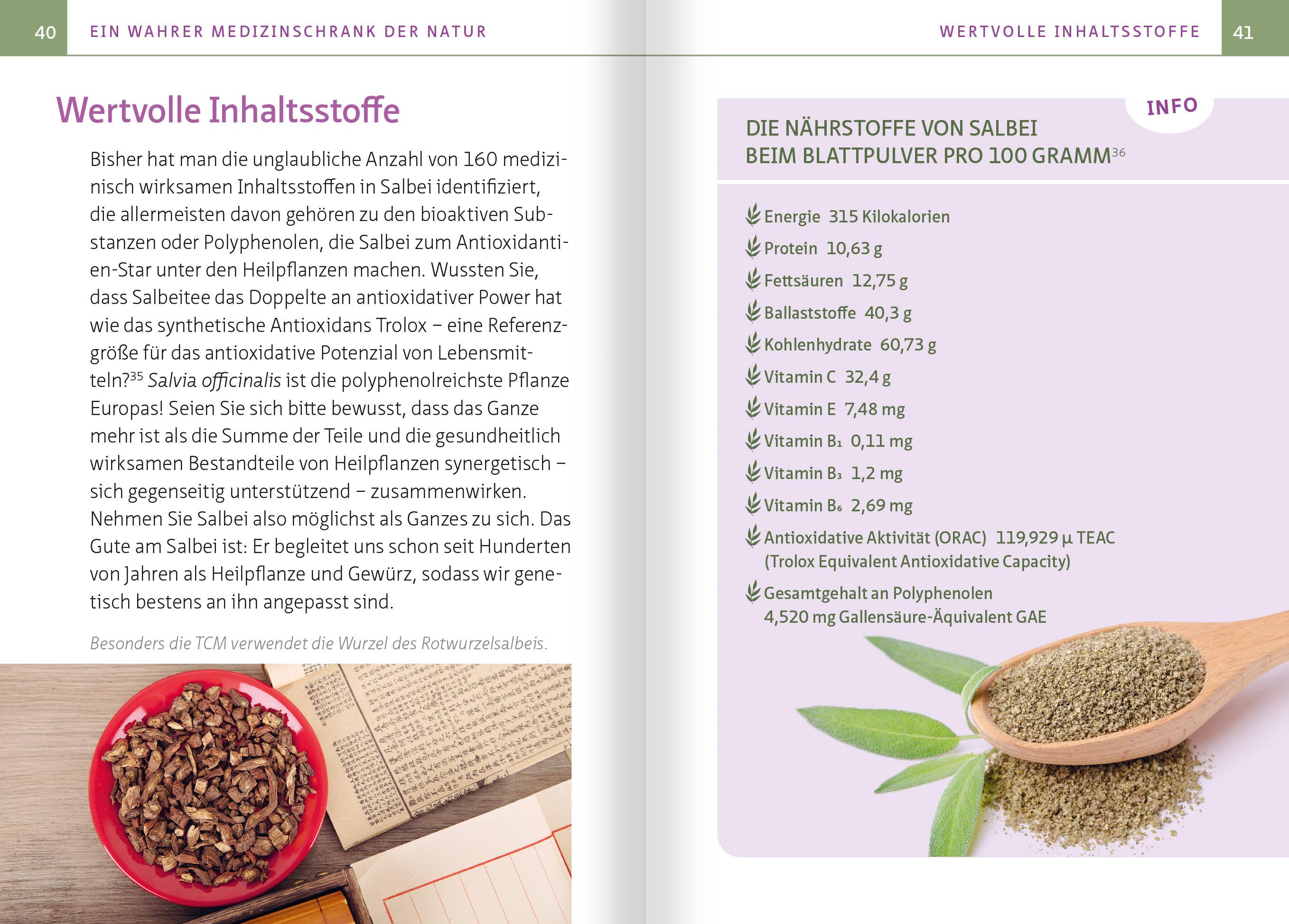 Beispielinhalt (Bild) Salbei - Mutter aller Heilpflanzen. Kompakt-Ratgeber