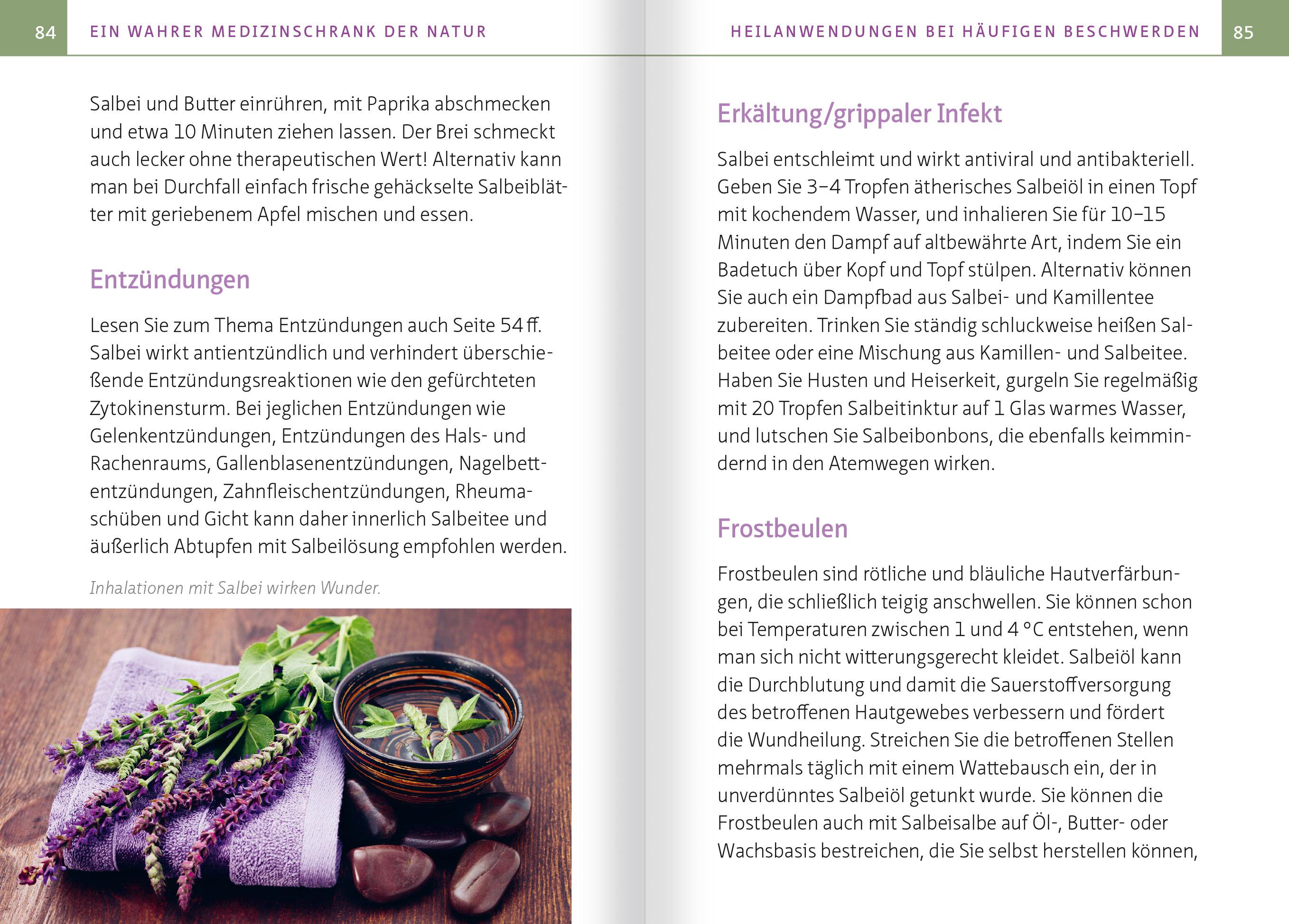 Beispielinhalt (Bild) Salbei - Mutter aller Heilpflanzen. Kompakt-Ratgeber