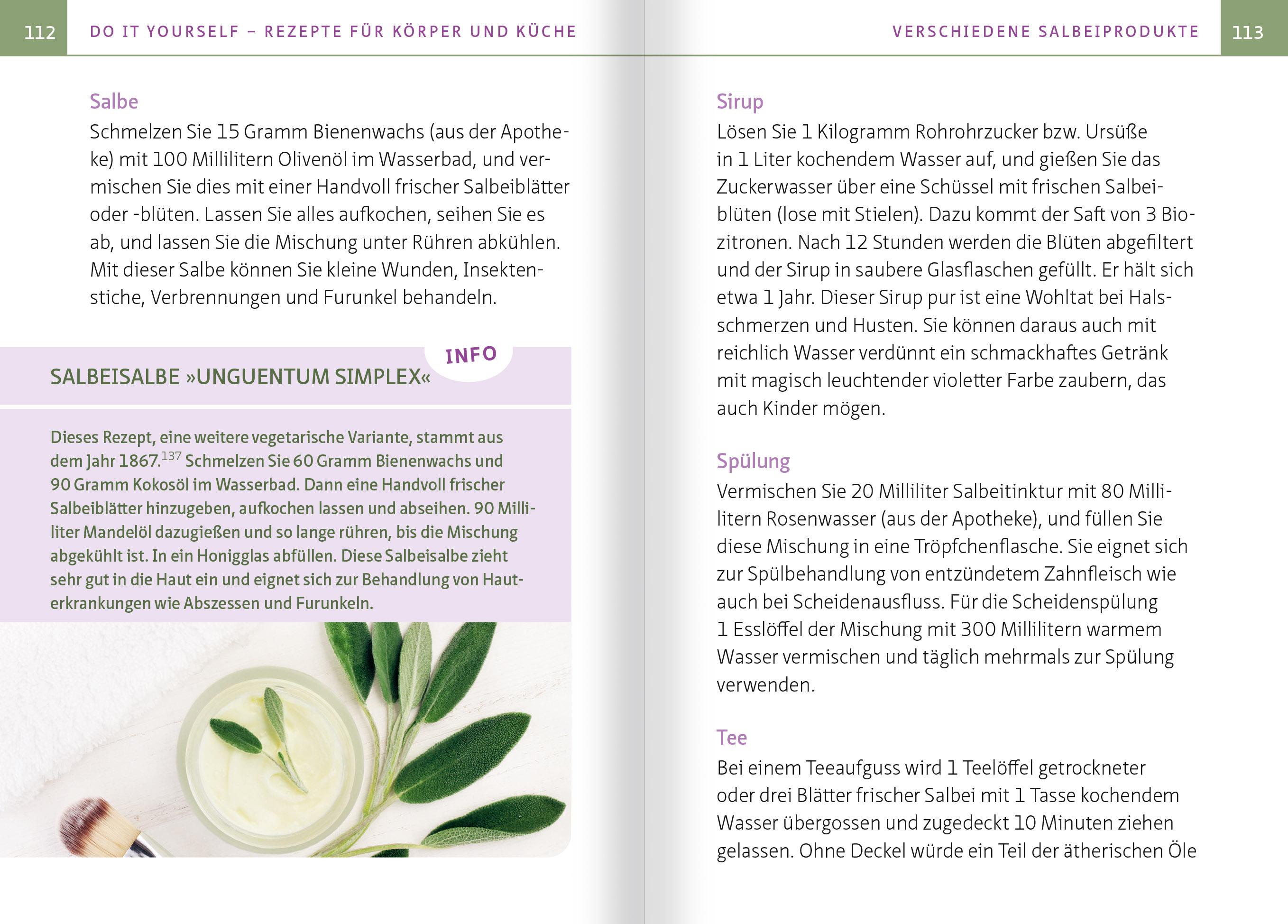 Beispielinhalt (Bild) Salbei - Mutter aller Heilpflanzen. Kompakt-Ratgeber
