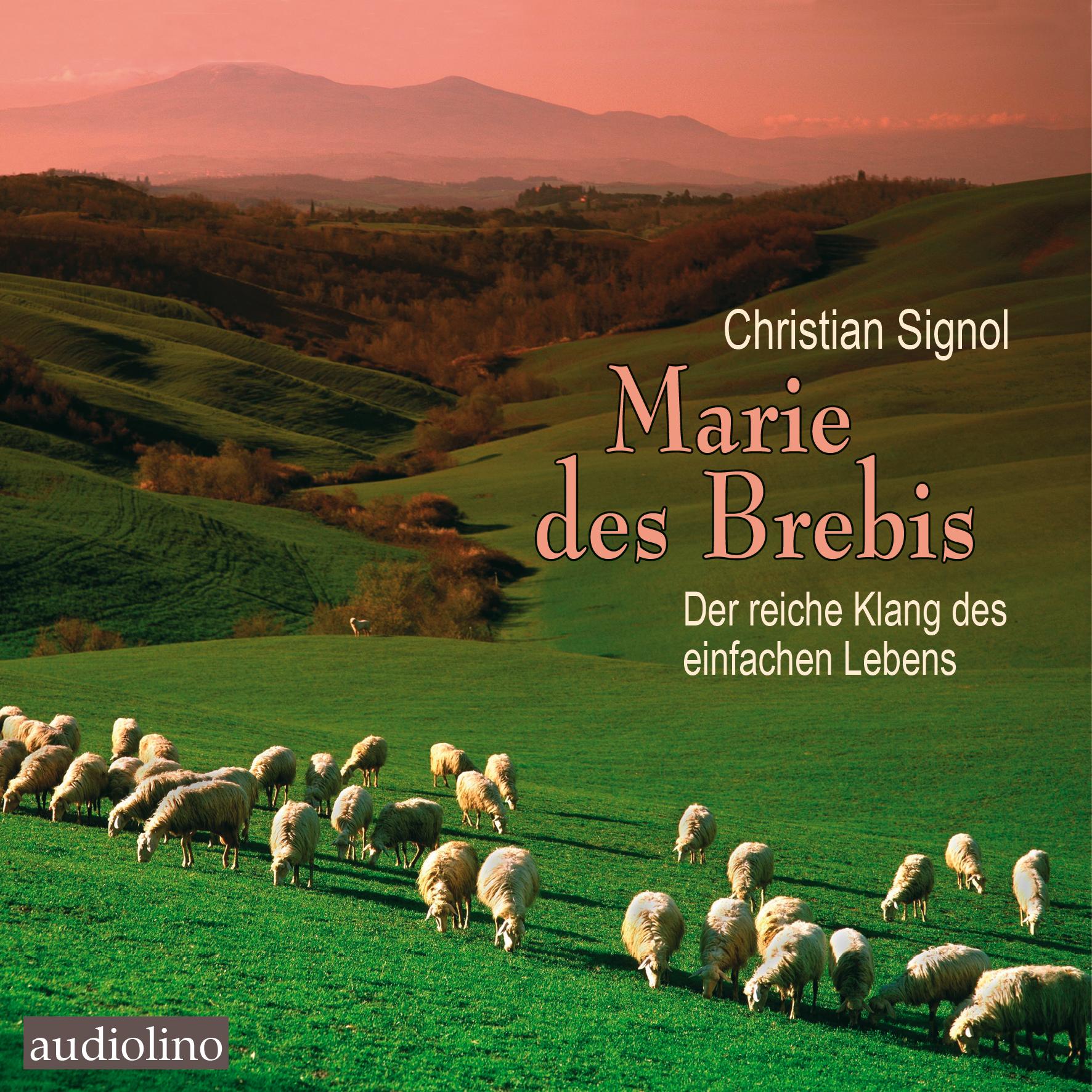 Vorderes Coverbild Marie des Brebis