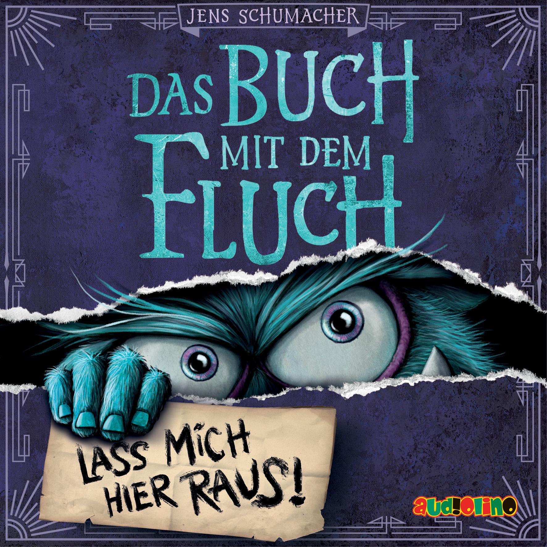 Vorderes Coverbild Das Buch mit dem Fluch (1)