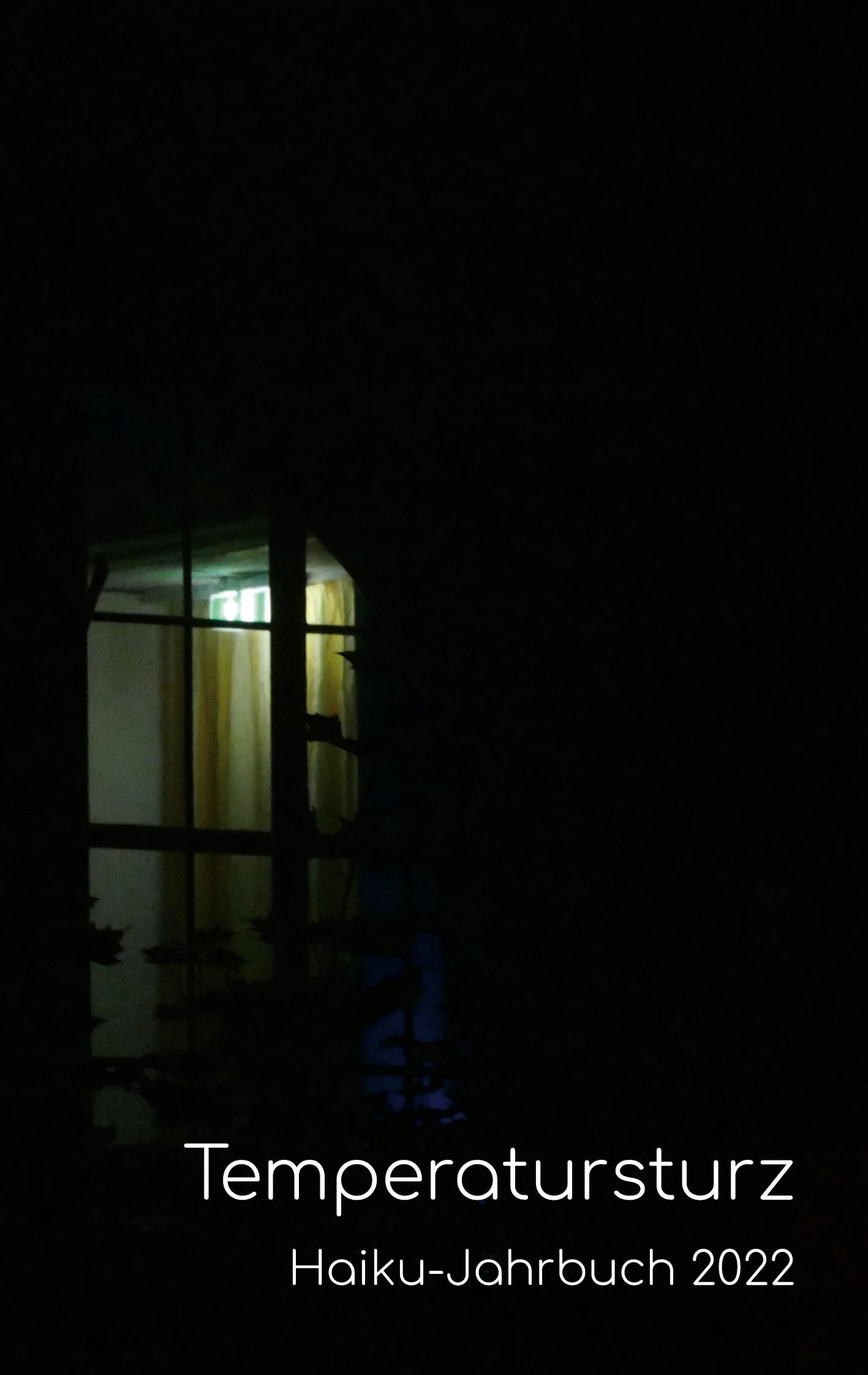 Vorderes Coverbild Temperatursturz