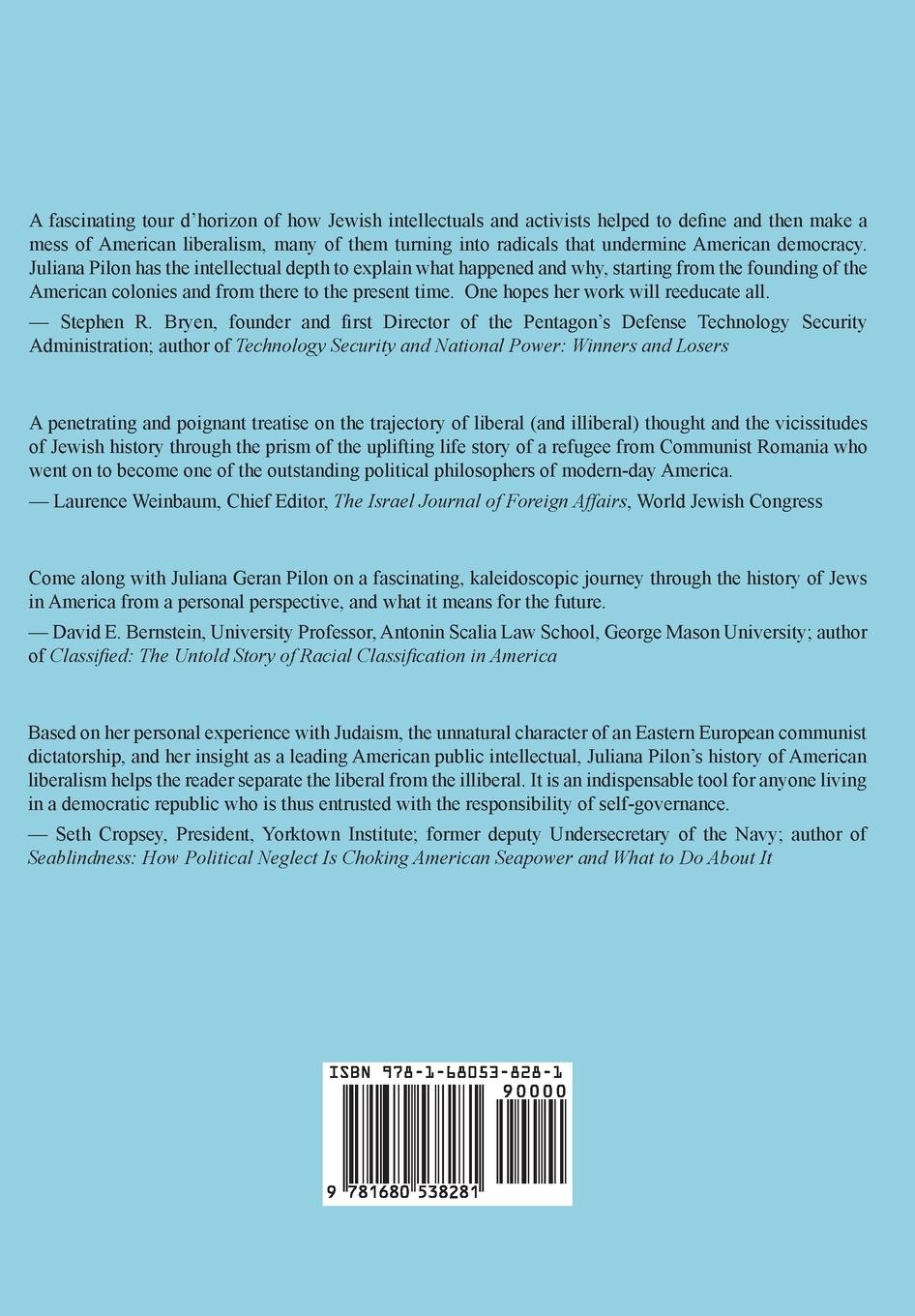 Rückseitencover An Idea Betrayed