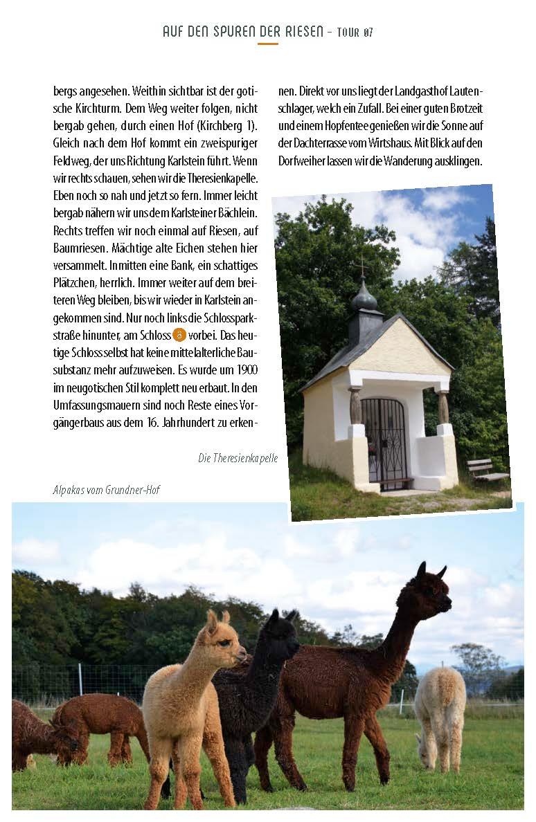 Beispielinhalt (Bild) Genusswandern Regental