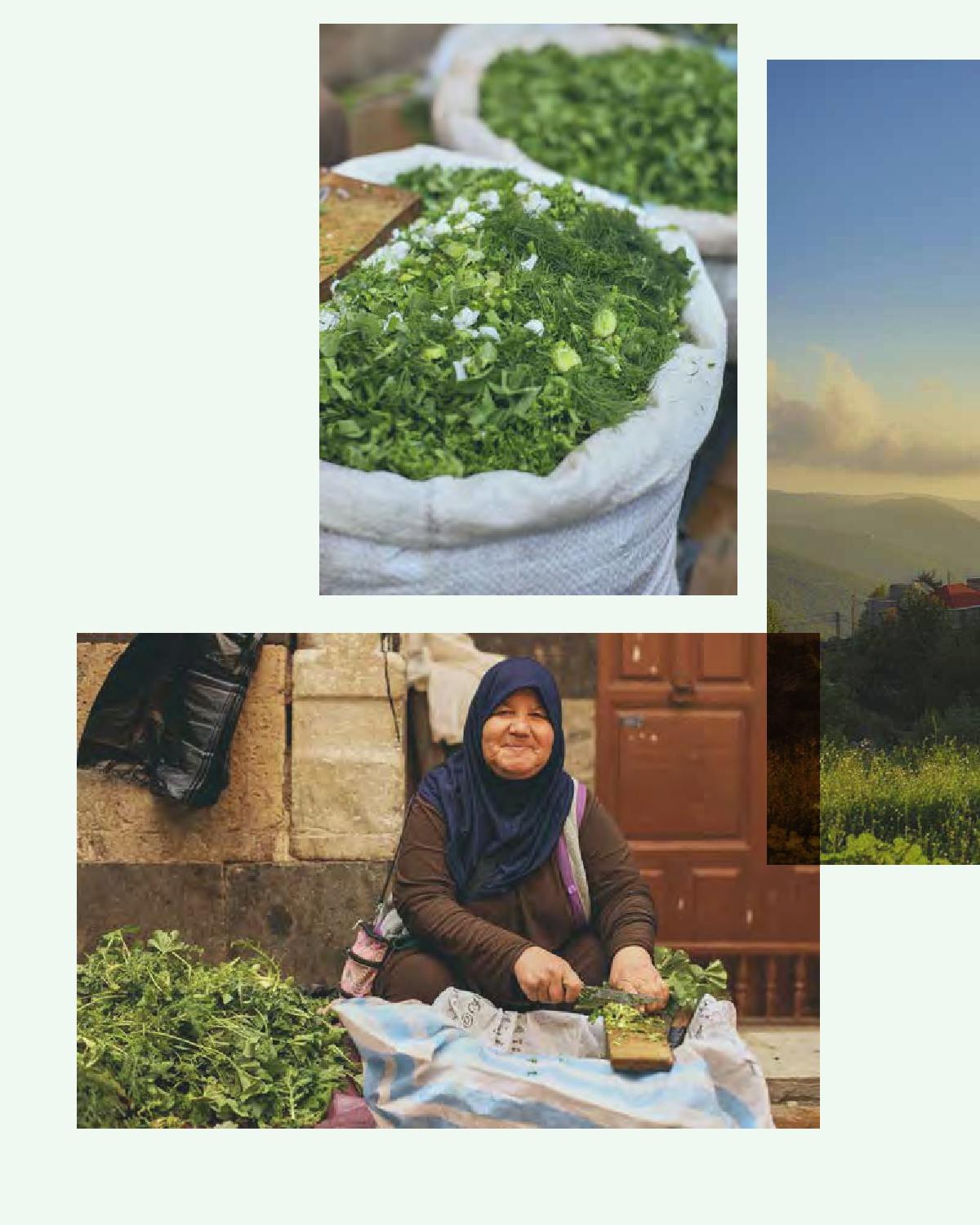 Beispielinhalt (Bild) Beirut - Das Kochbuch