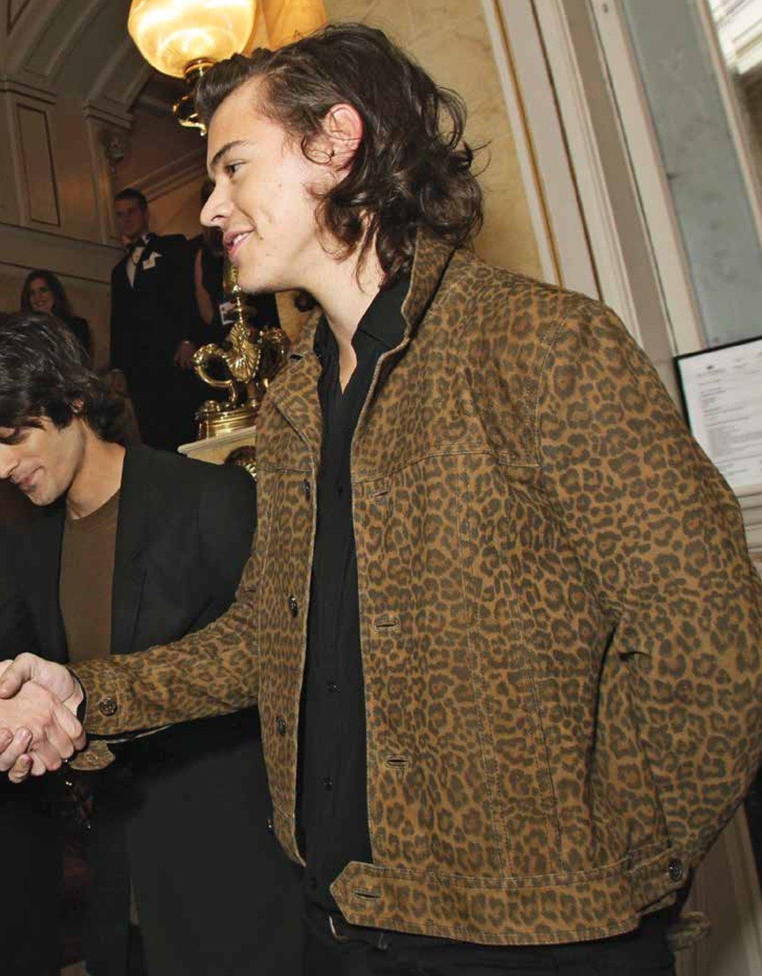Beispielinhalt (Bild) Harry Styles: Leben und Musik - Biografie