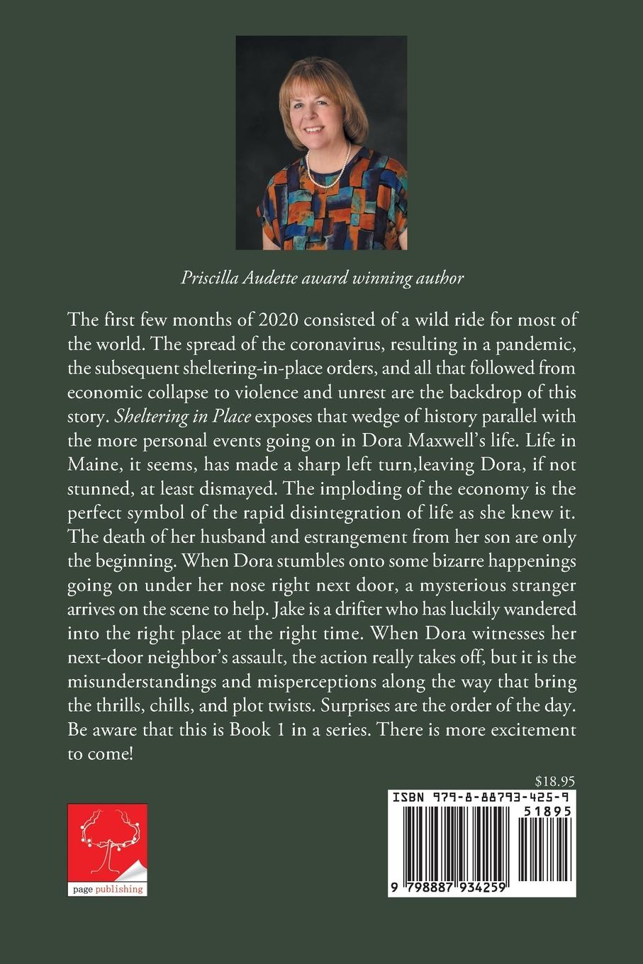 Rückseitencover Sheltering in Place