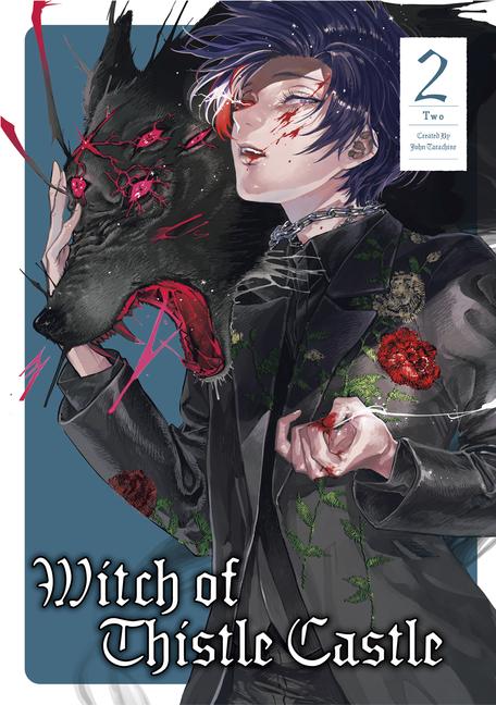 Vorderes Coverbild Witch of Thistle Castle Vol.2