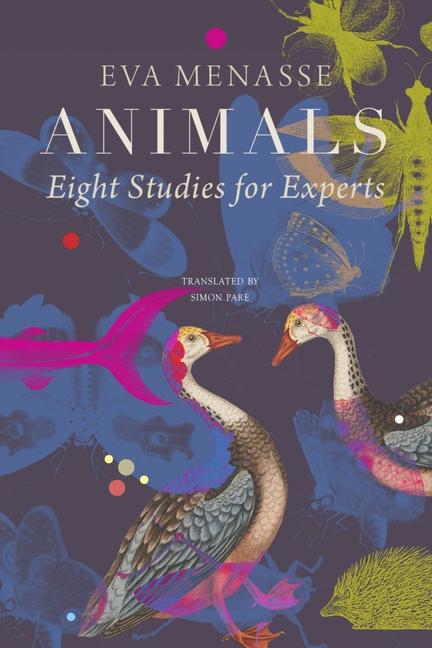 Vorderes Coverbild Animals - Eight Studies for Experts
