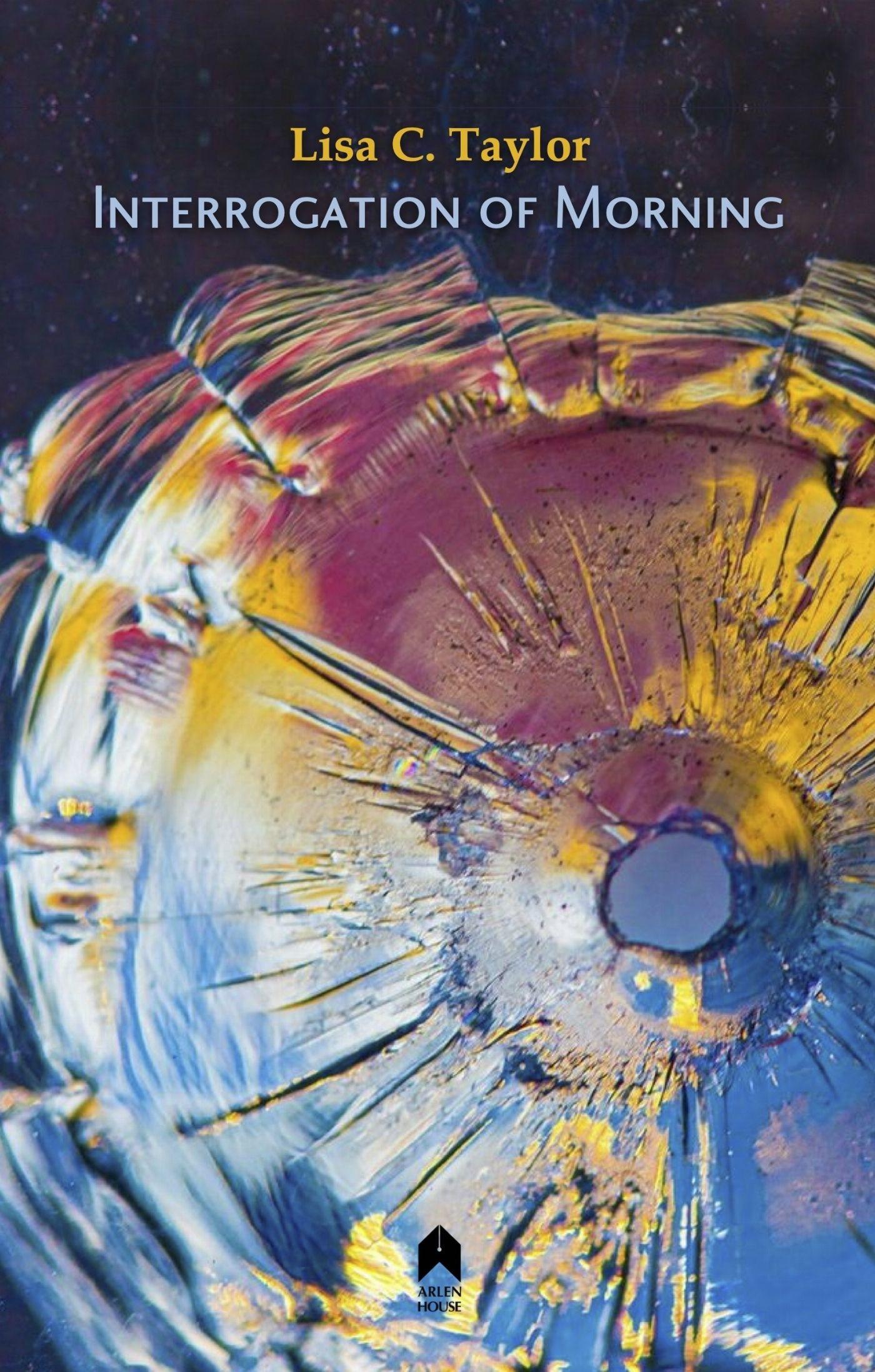 Vorderes Coverbild Interrogation of Morning