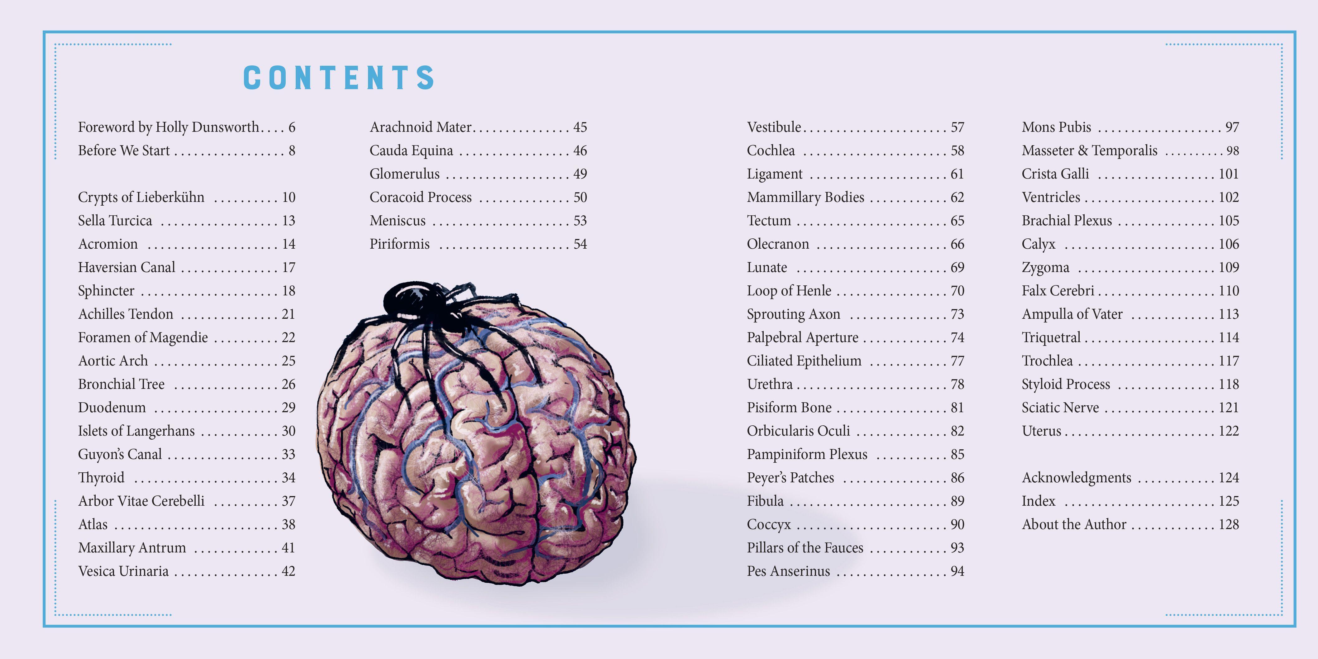 Beispielinhalt (Bild) Anatomical Oddities