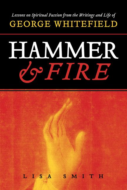 Vorderes Coverbild Hammer and Fire
